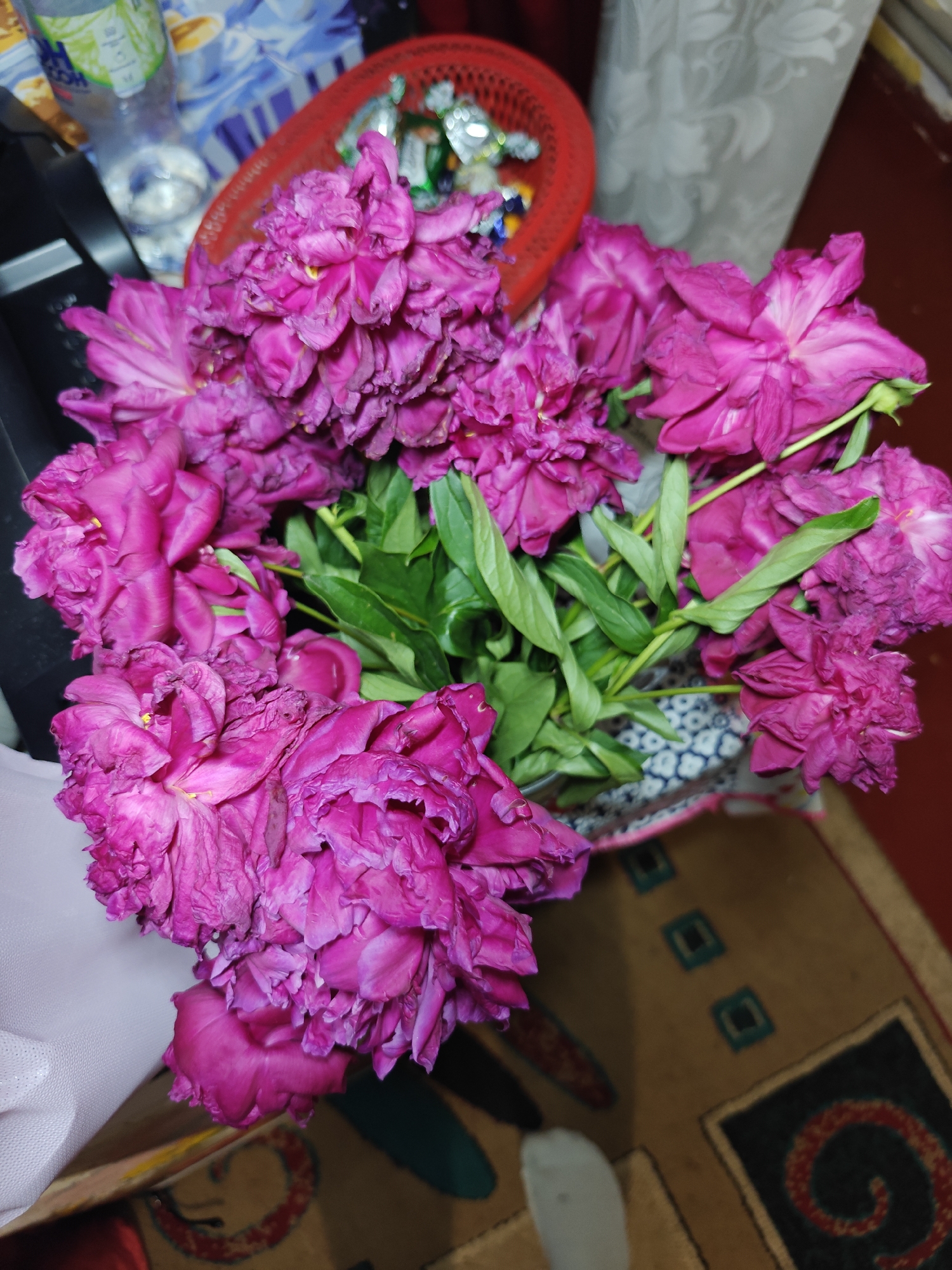 Evening chinchilla time and peony arrangements in Hadiach, Ukraine