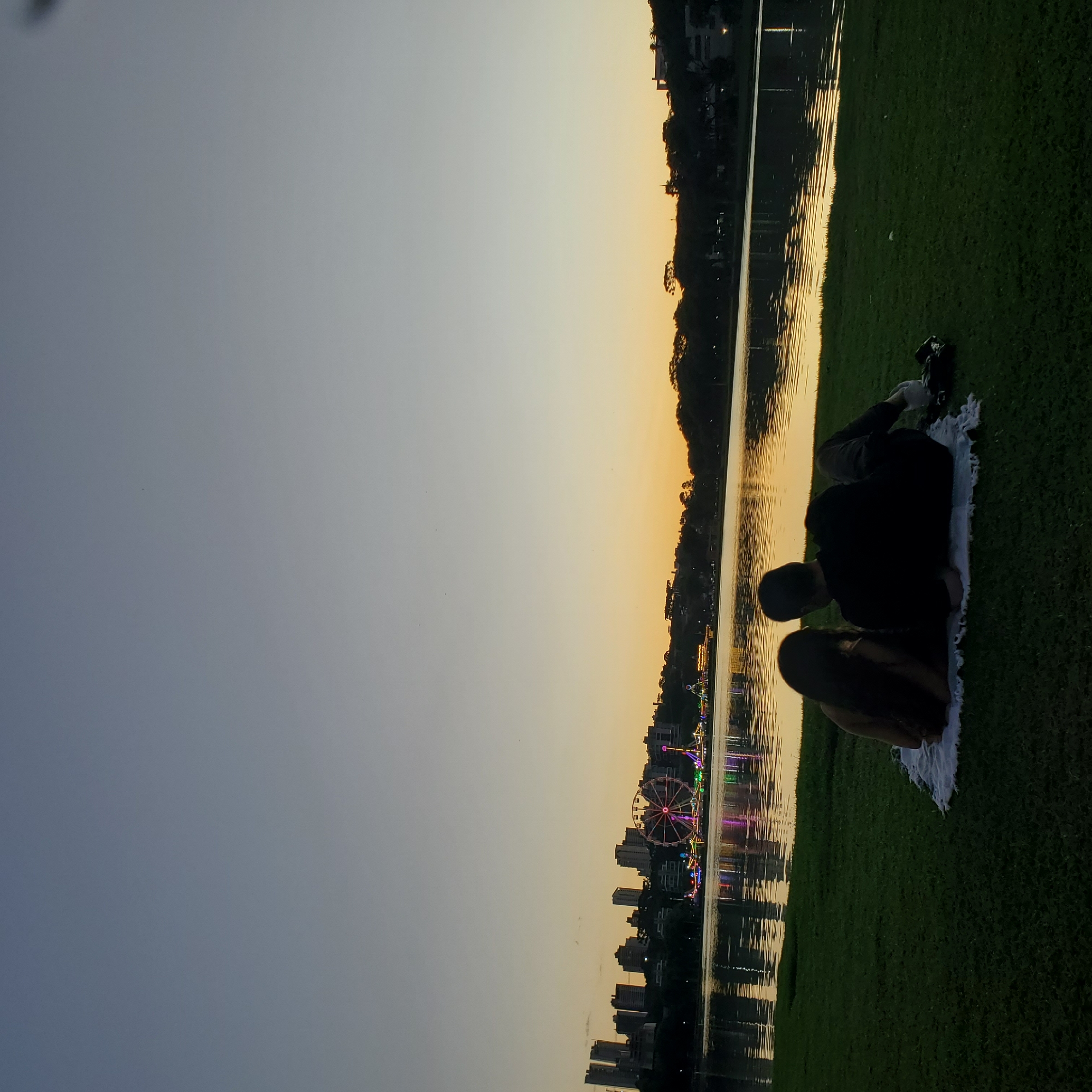 Capybara spotted in urban park setting in Curitiba