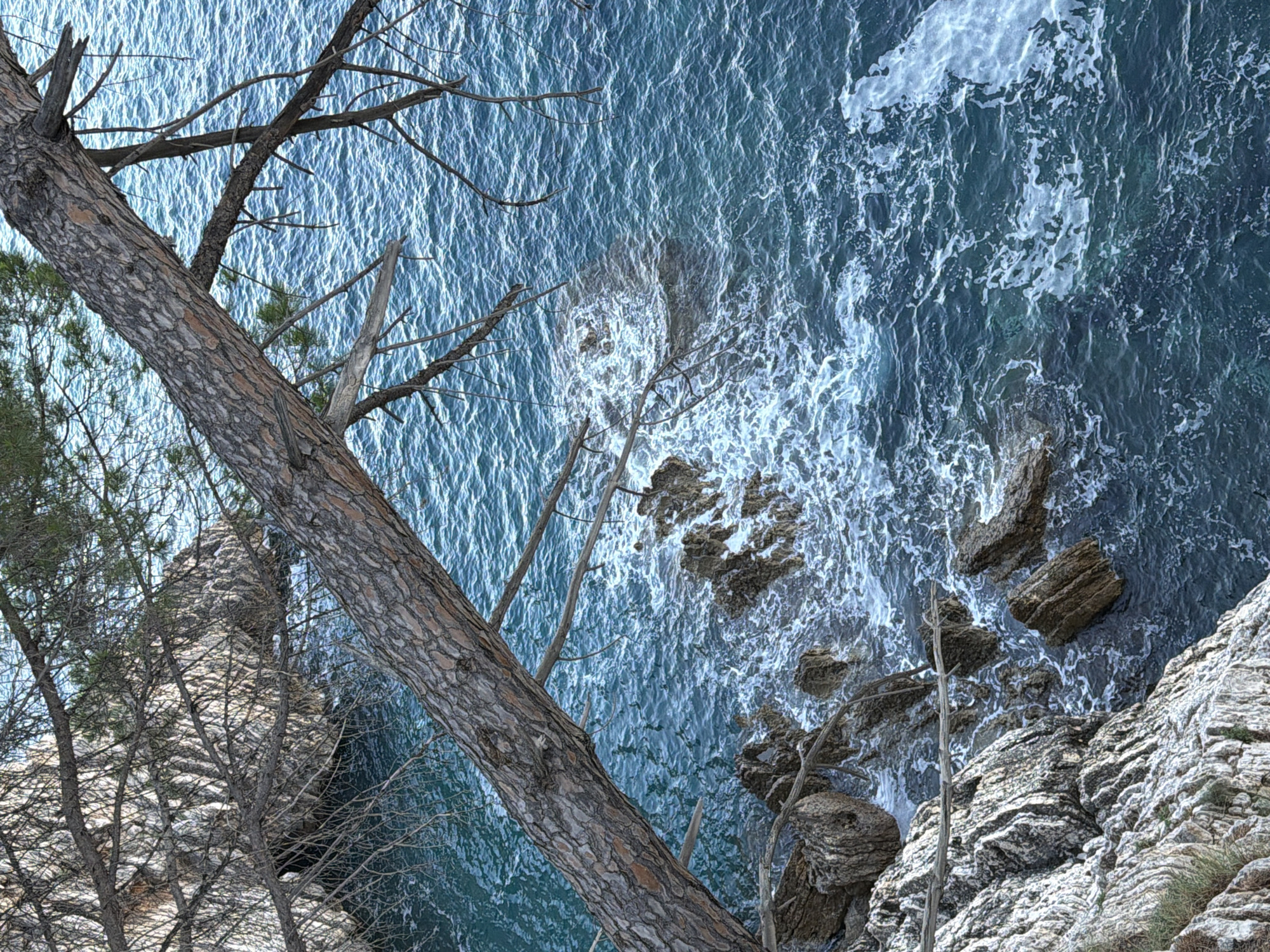 Rugged limestone cliffs meet the Adriatic at Mirište, Montenegro