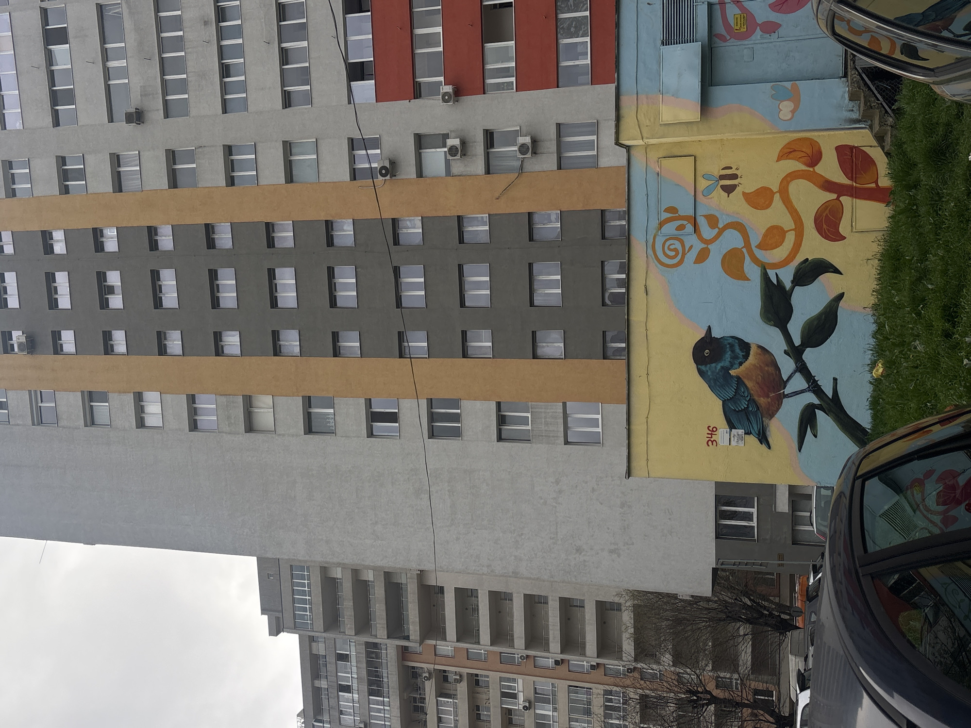 Urban scenes documented in Varna featuring apartment building, bird mural