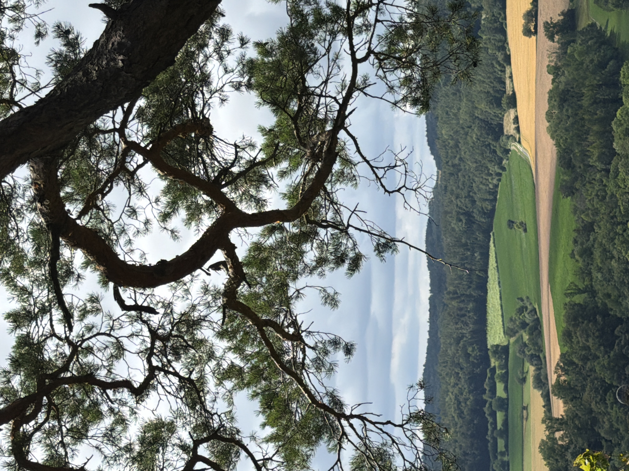 Hilltop views over Heiligenstadt from a rocky overlook