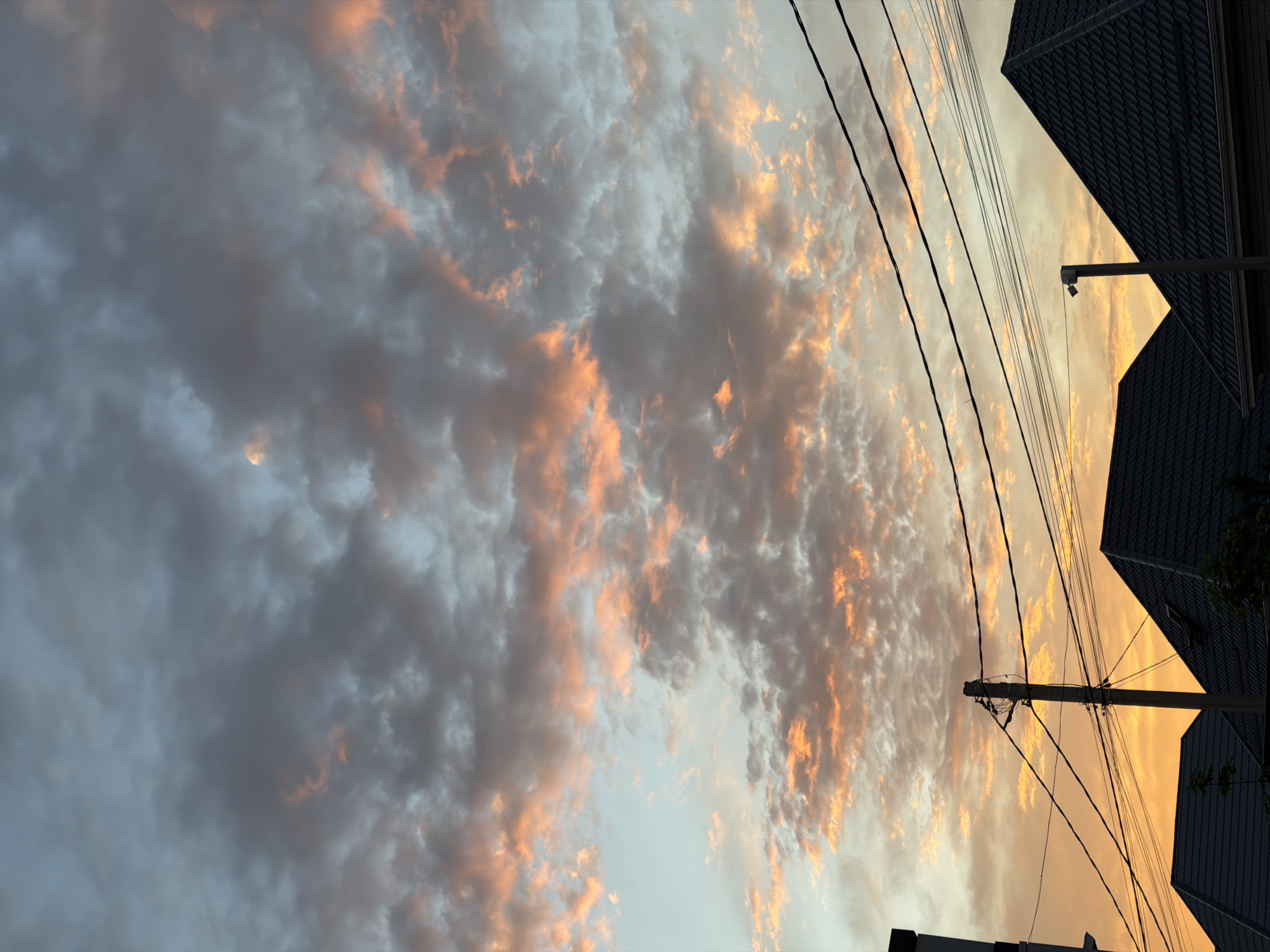 Evening scenes with dog, buildings, sunset documented in Krasnodar
