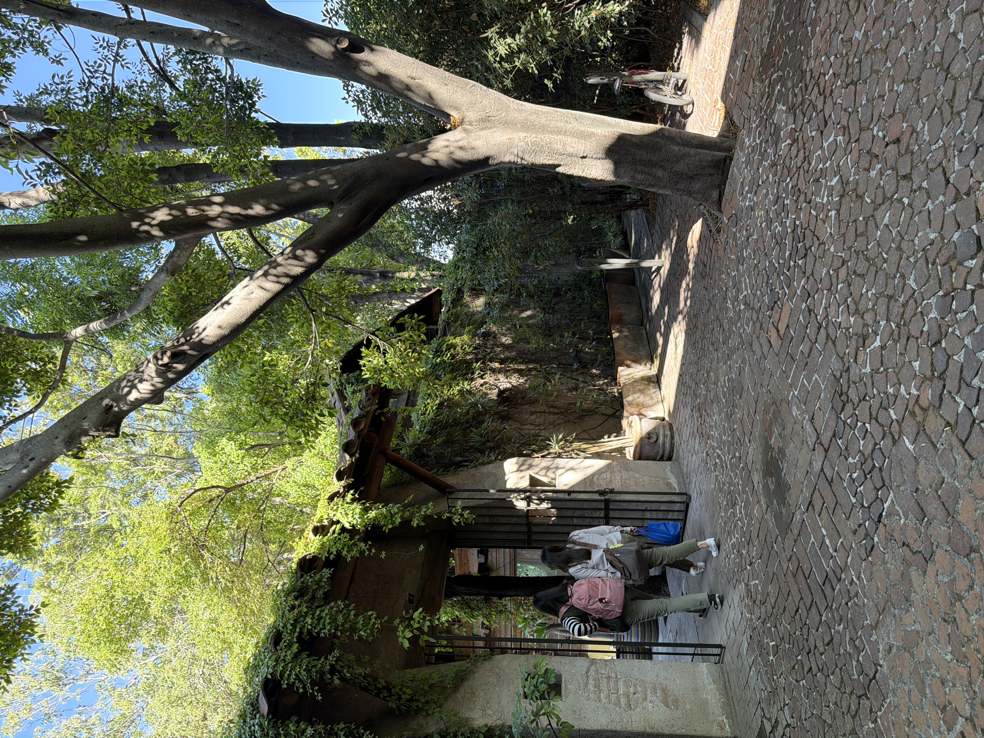 Two people stand on brick pathway in Puebla