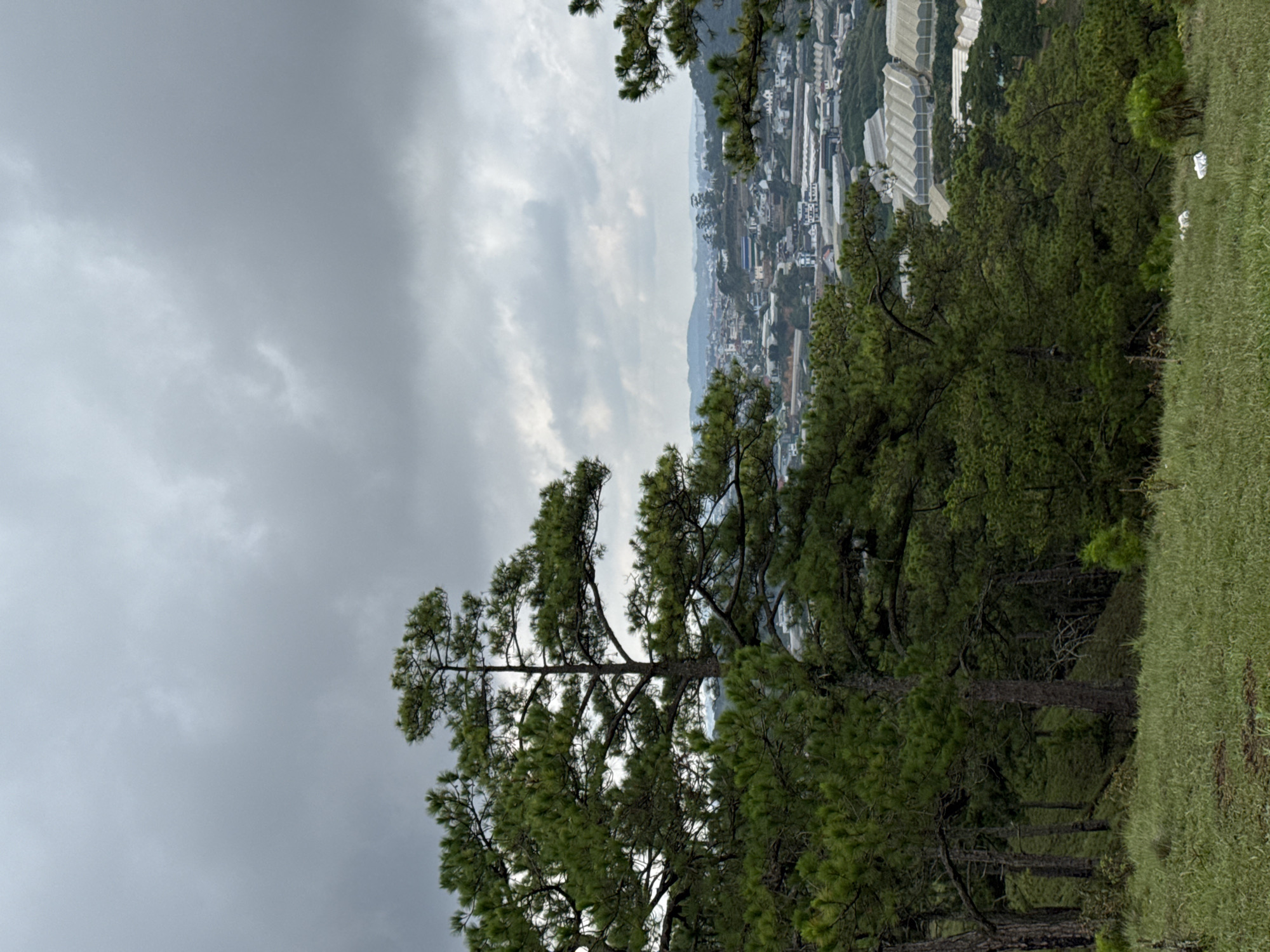 Highland landscape documented across pine hills in Lạc Dương