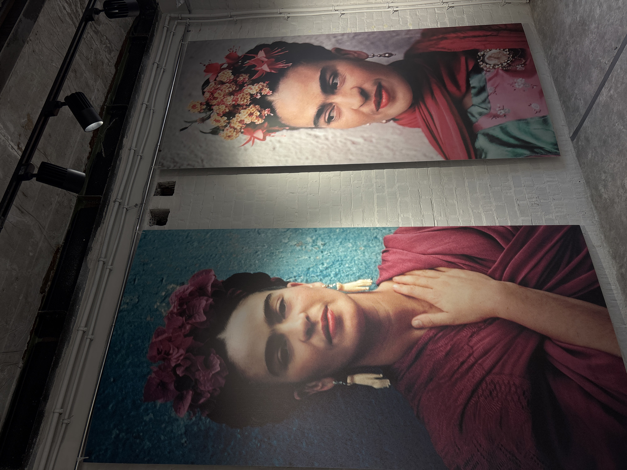 Frida Kahlo exhibition documented in Krasnoyarsk gallery space