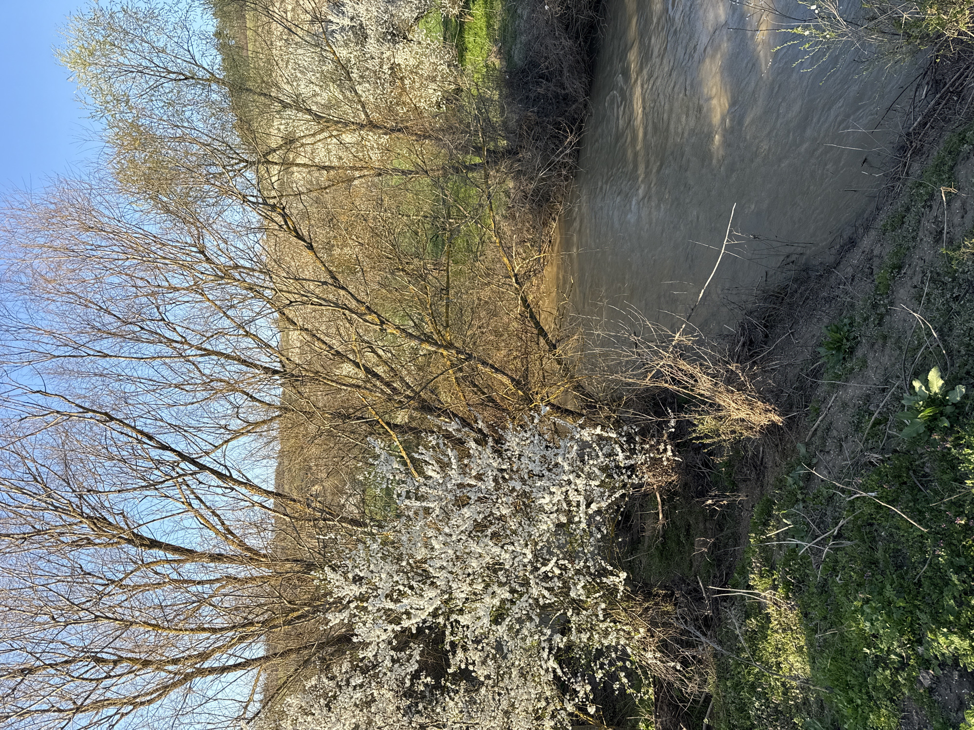 Rural countryside scenes documented near Ostritsa, Bulgaria