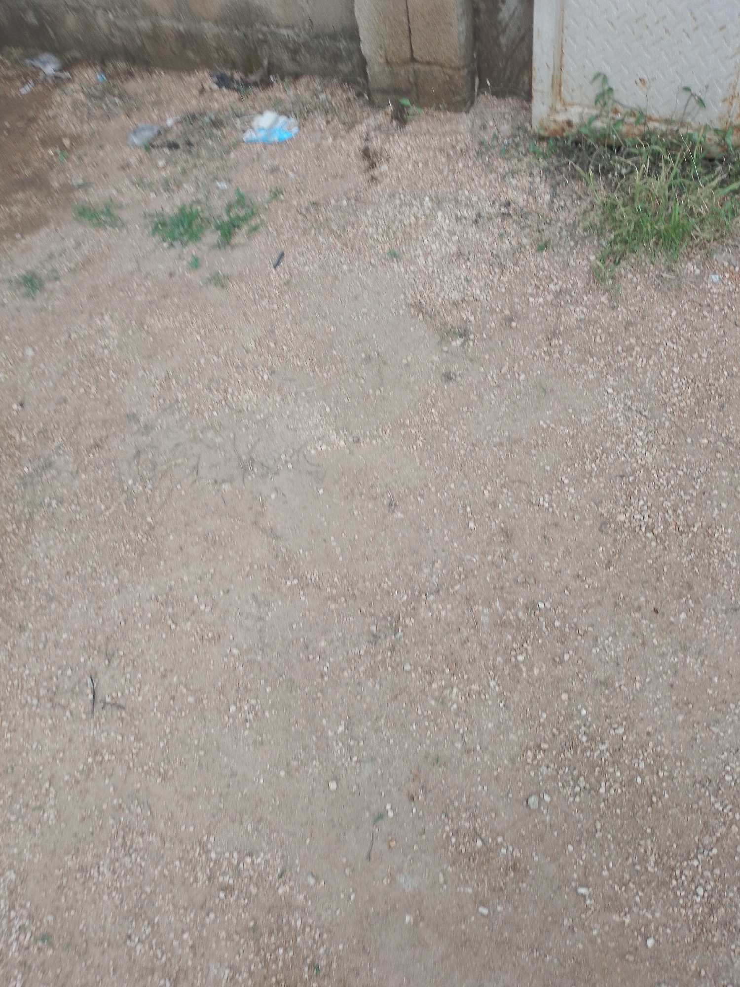 Witness documents scattered everyday objects across unknown locations