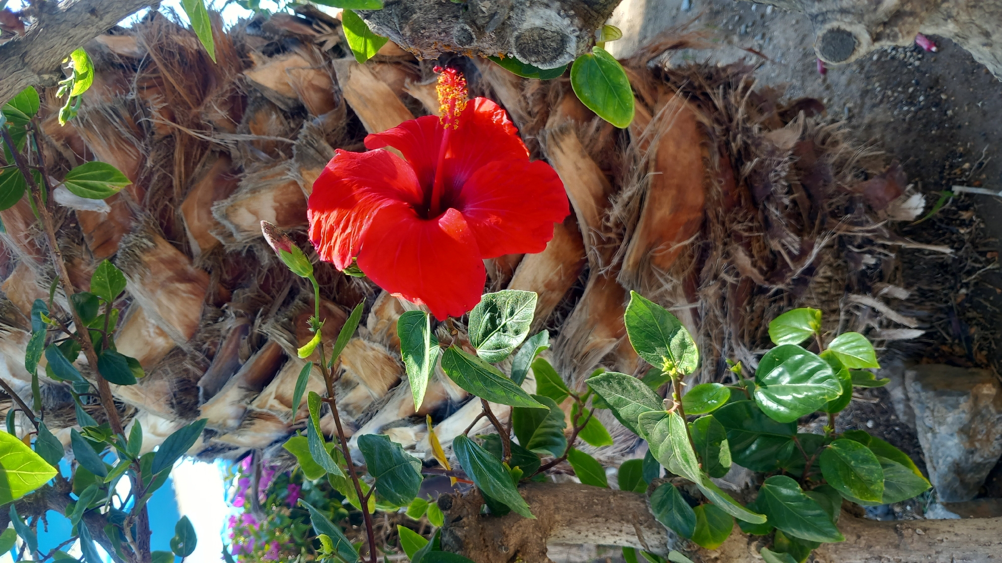 Lazy summer afternoon at a Kos resort, inside and out