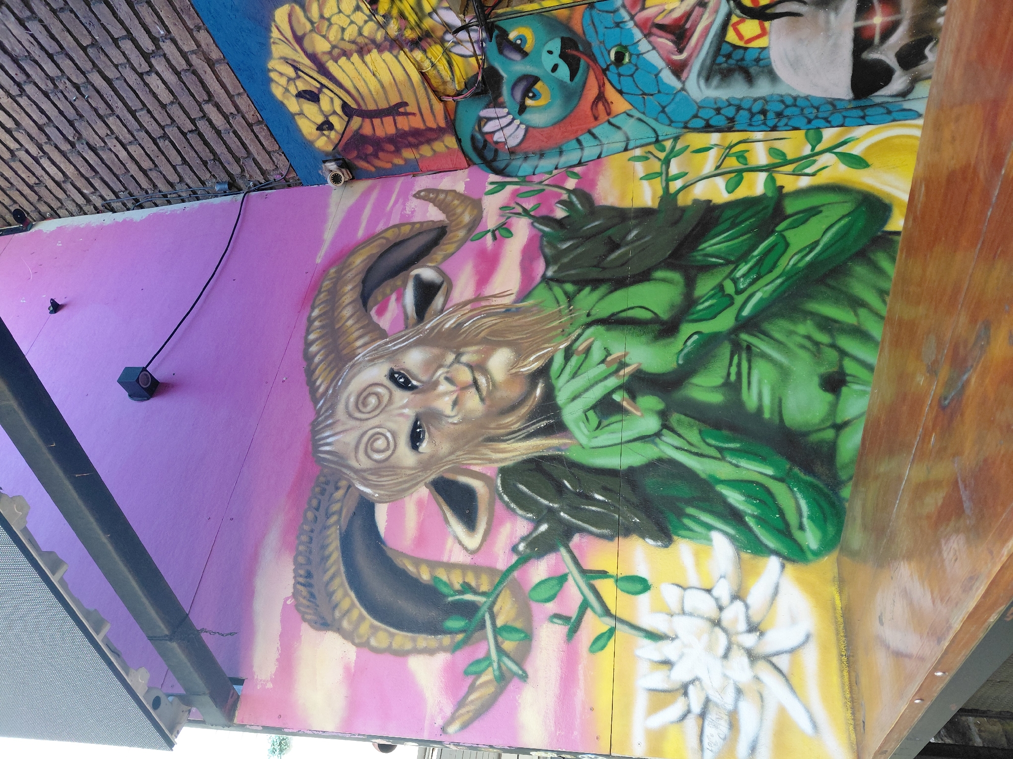 Street art murals documented in Mendoza, Argentina