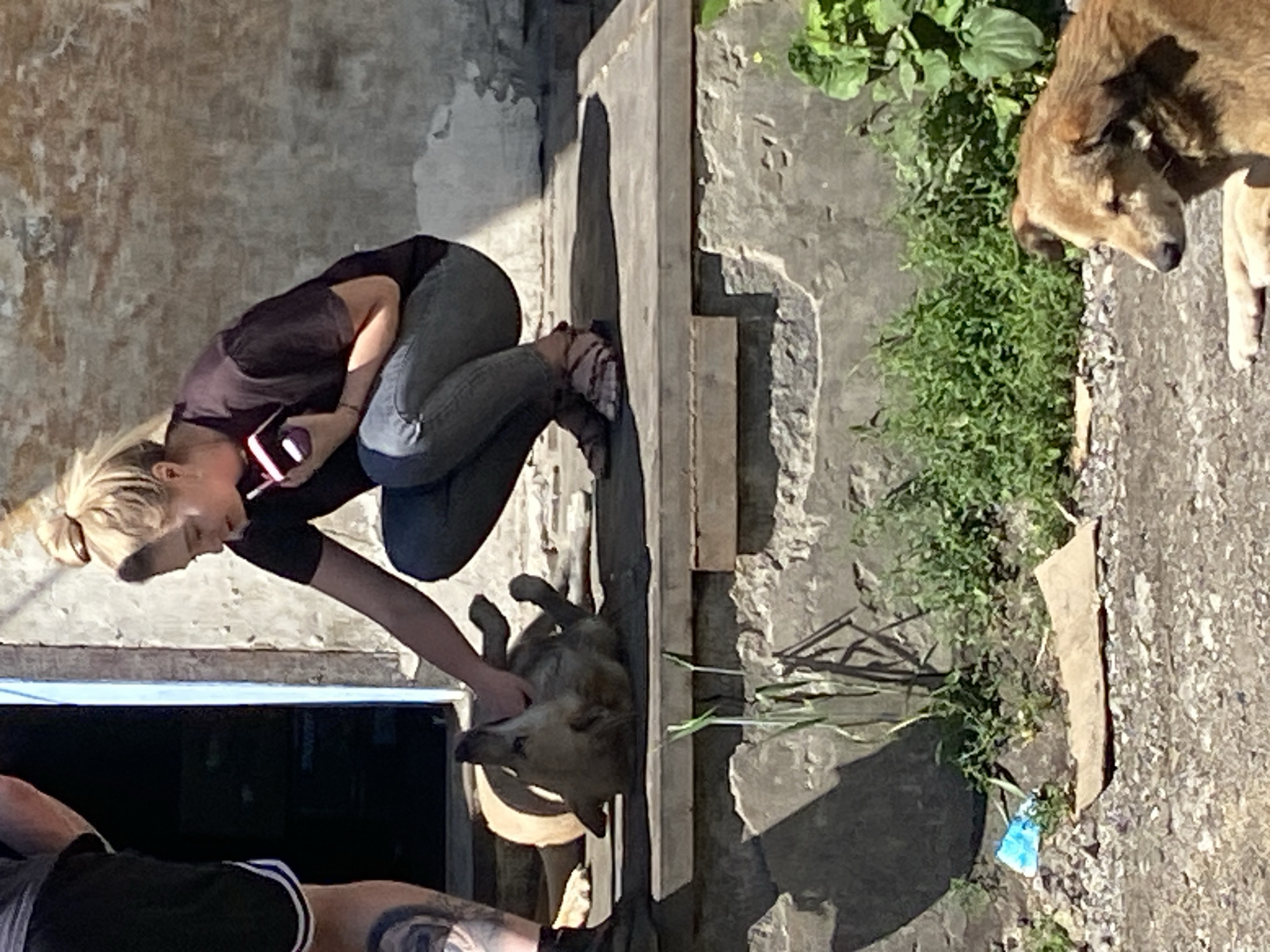 Casual outdoor hangout, close-up details, and a garbage truck