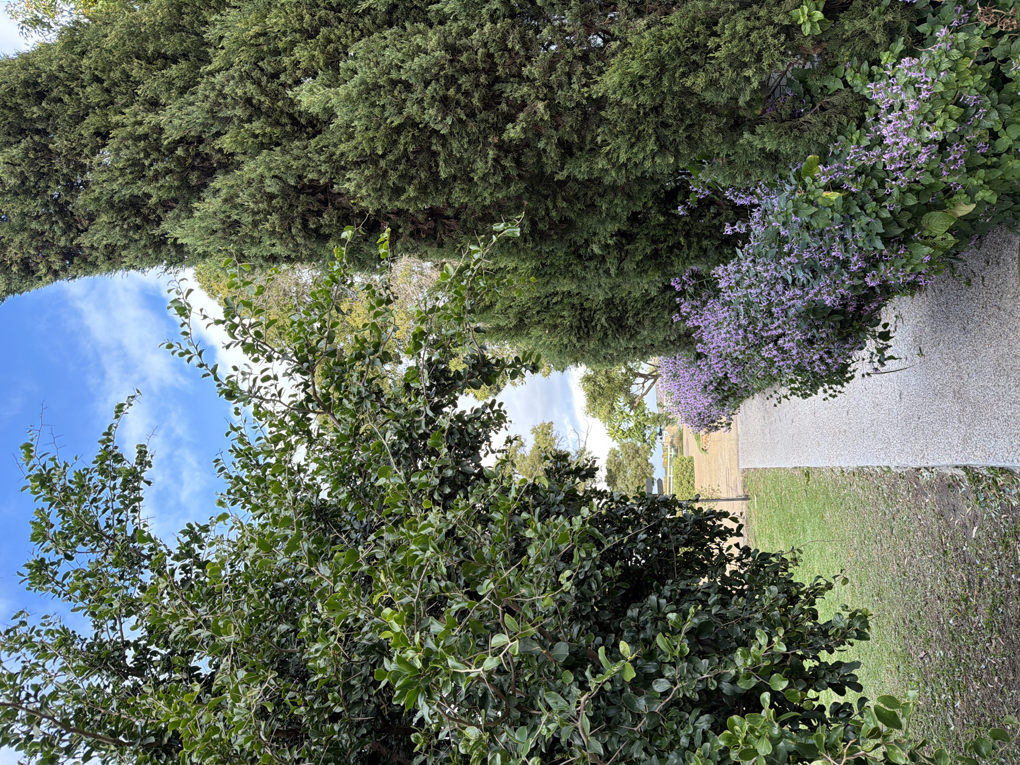 Morning scenes captured in Overstrand Nu featuring landscapes and statue