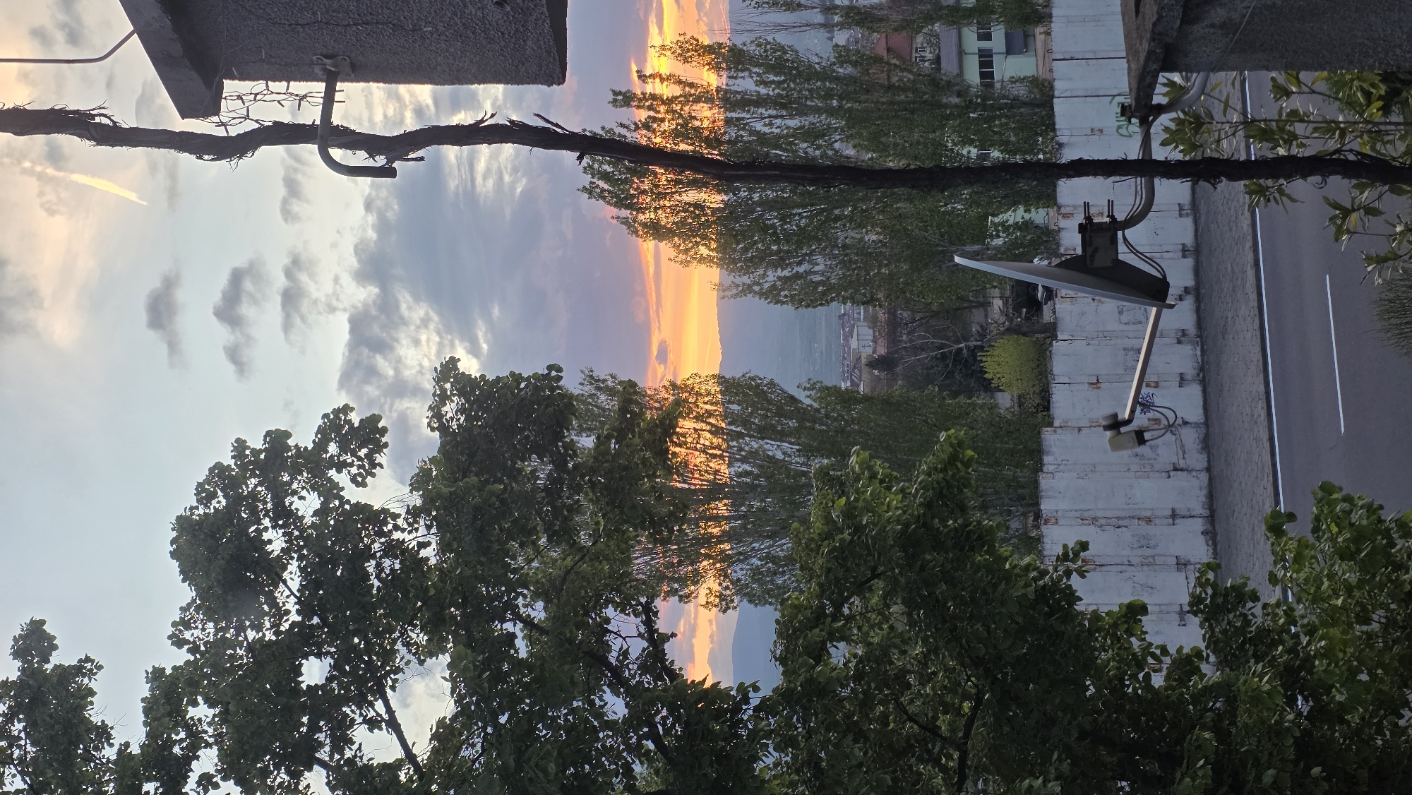 Blagoevgrad resident documents sunset evening with sleeping dog