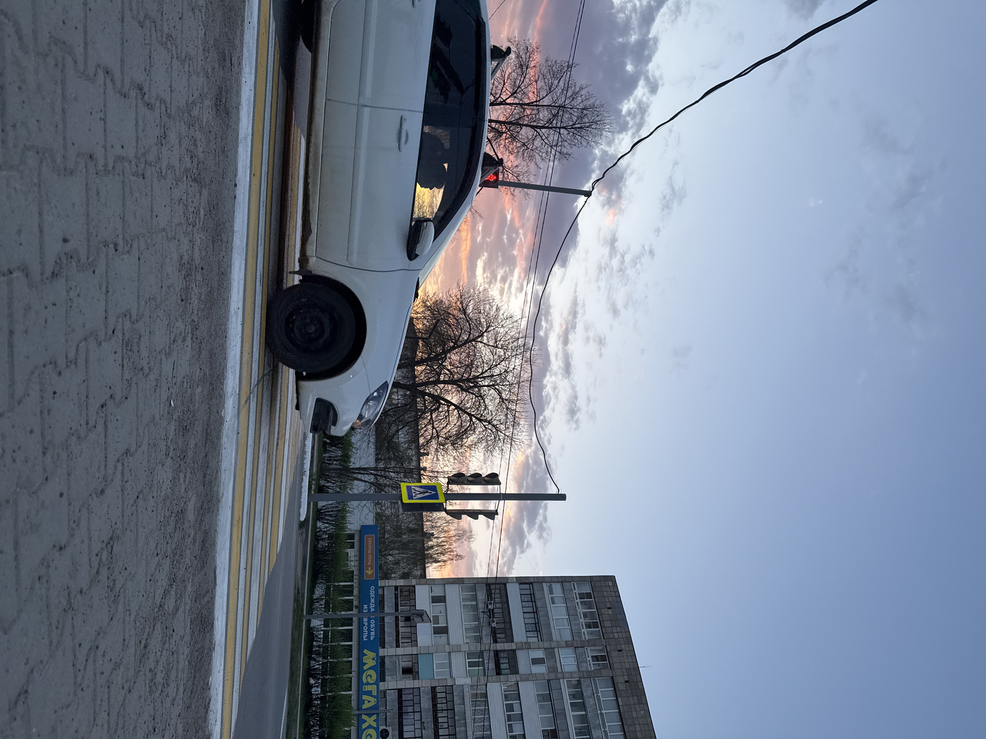 Evening urban walk captured through street scenes and nature moments
