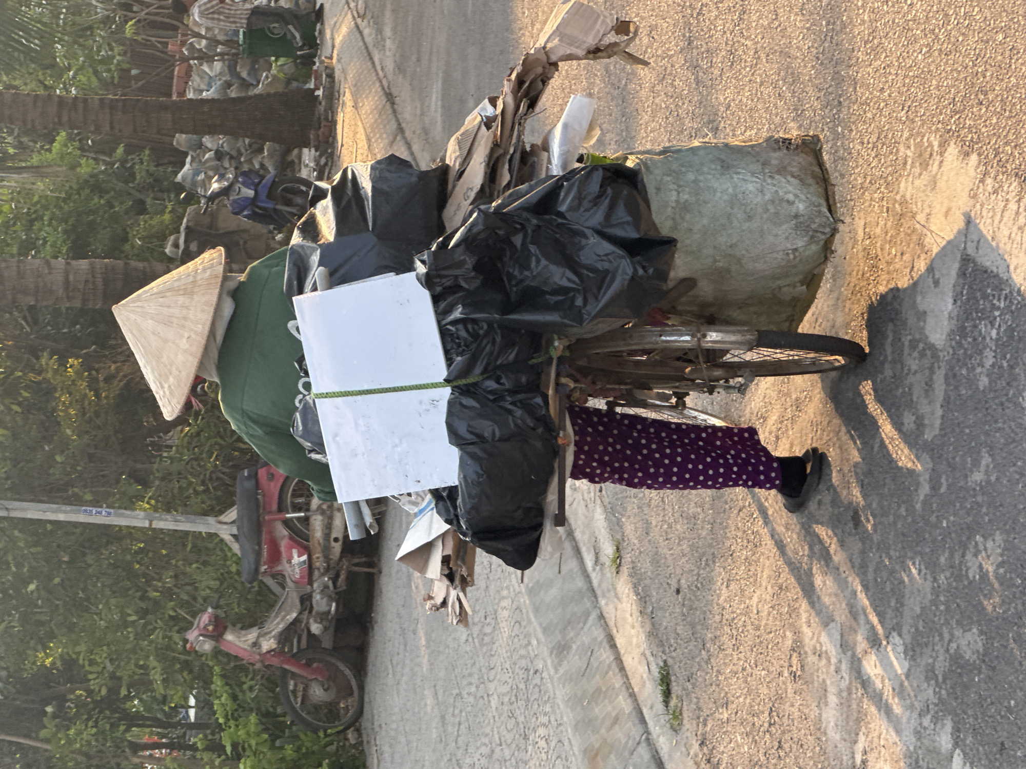 Person with loaded bicycle observed in Đà Nẵng street