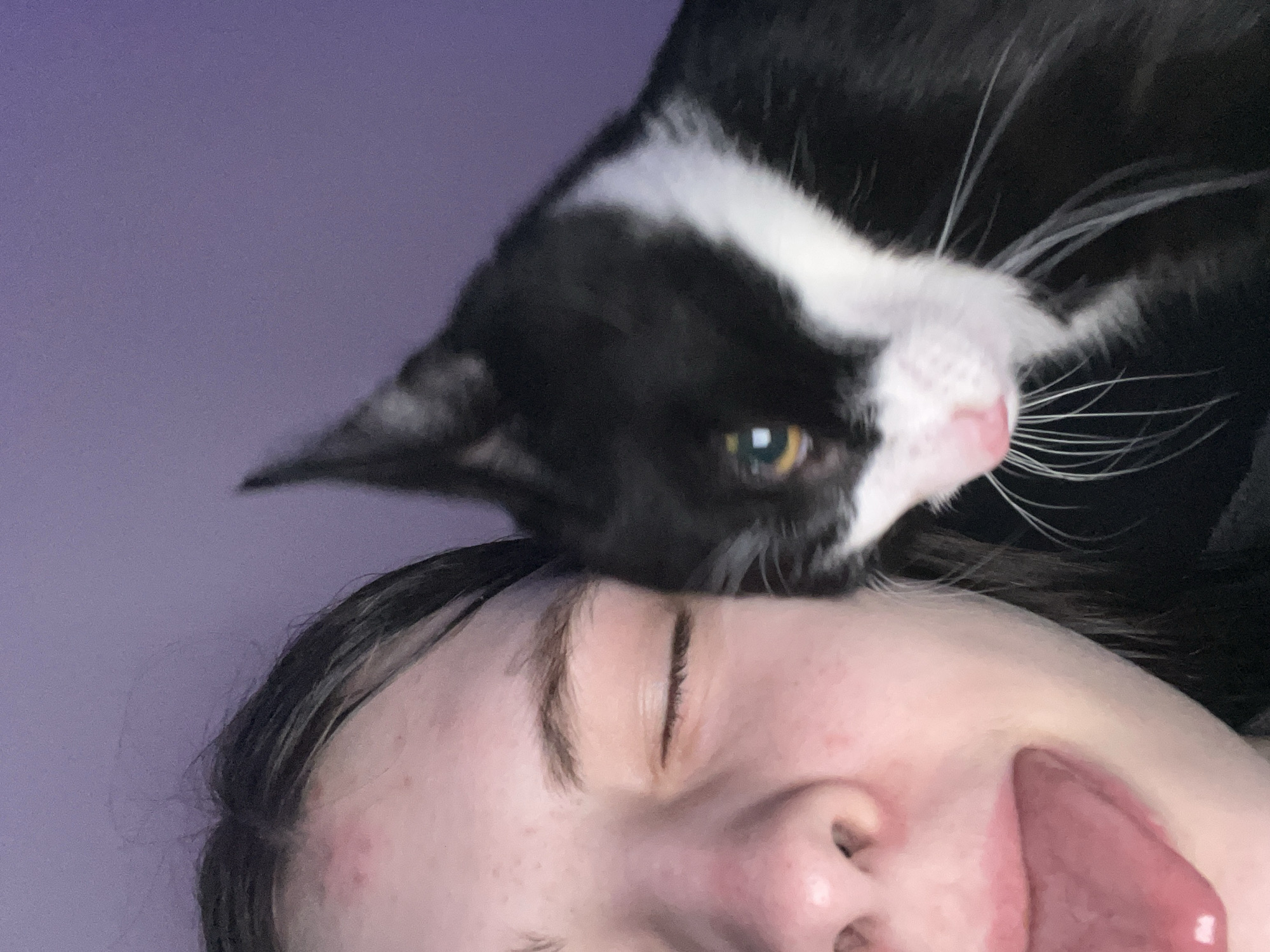 Person poses with cat on forehead in Saint Petersburg