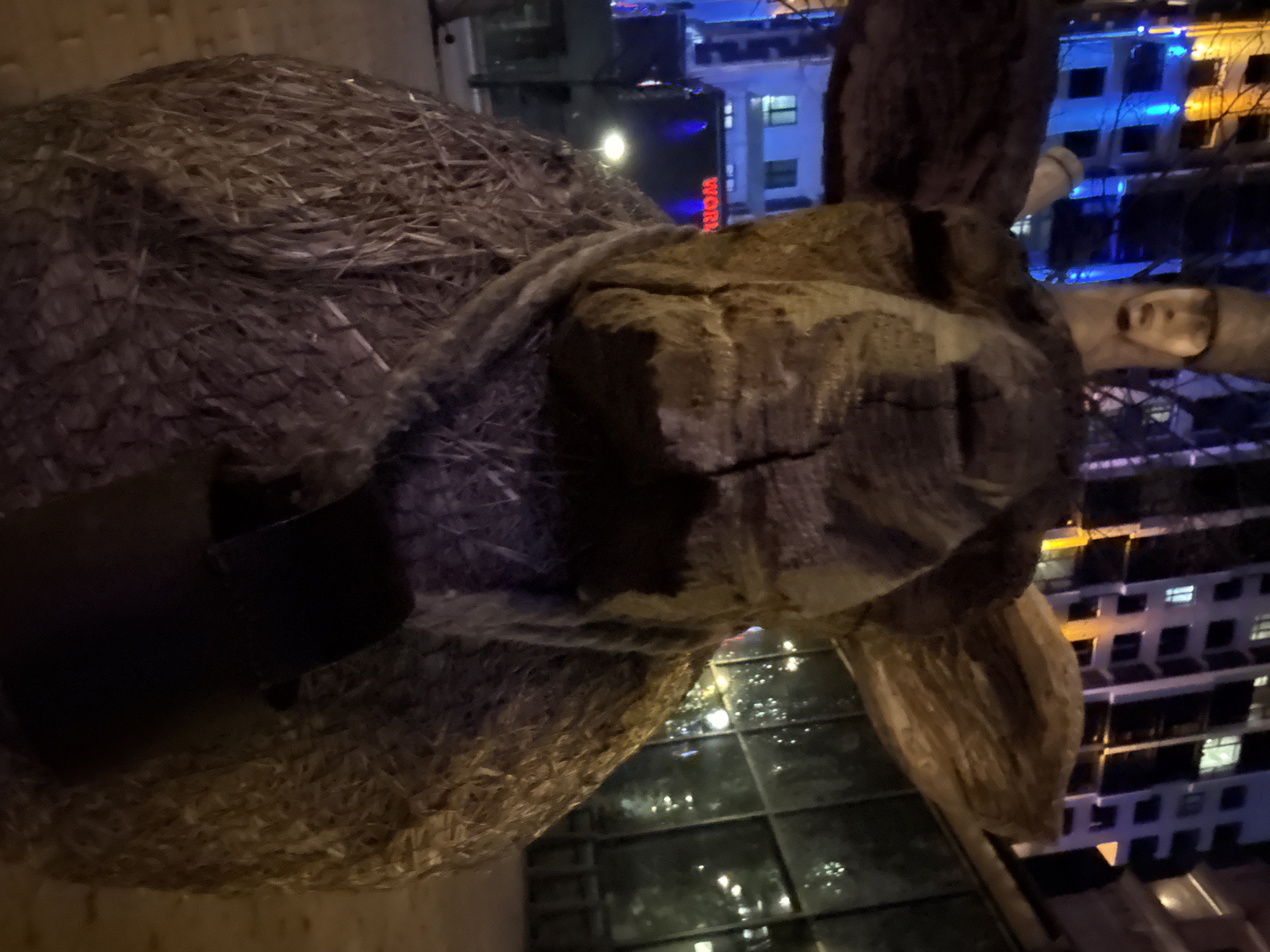 Evening art installations documented across Yekaterinburg, Russia