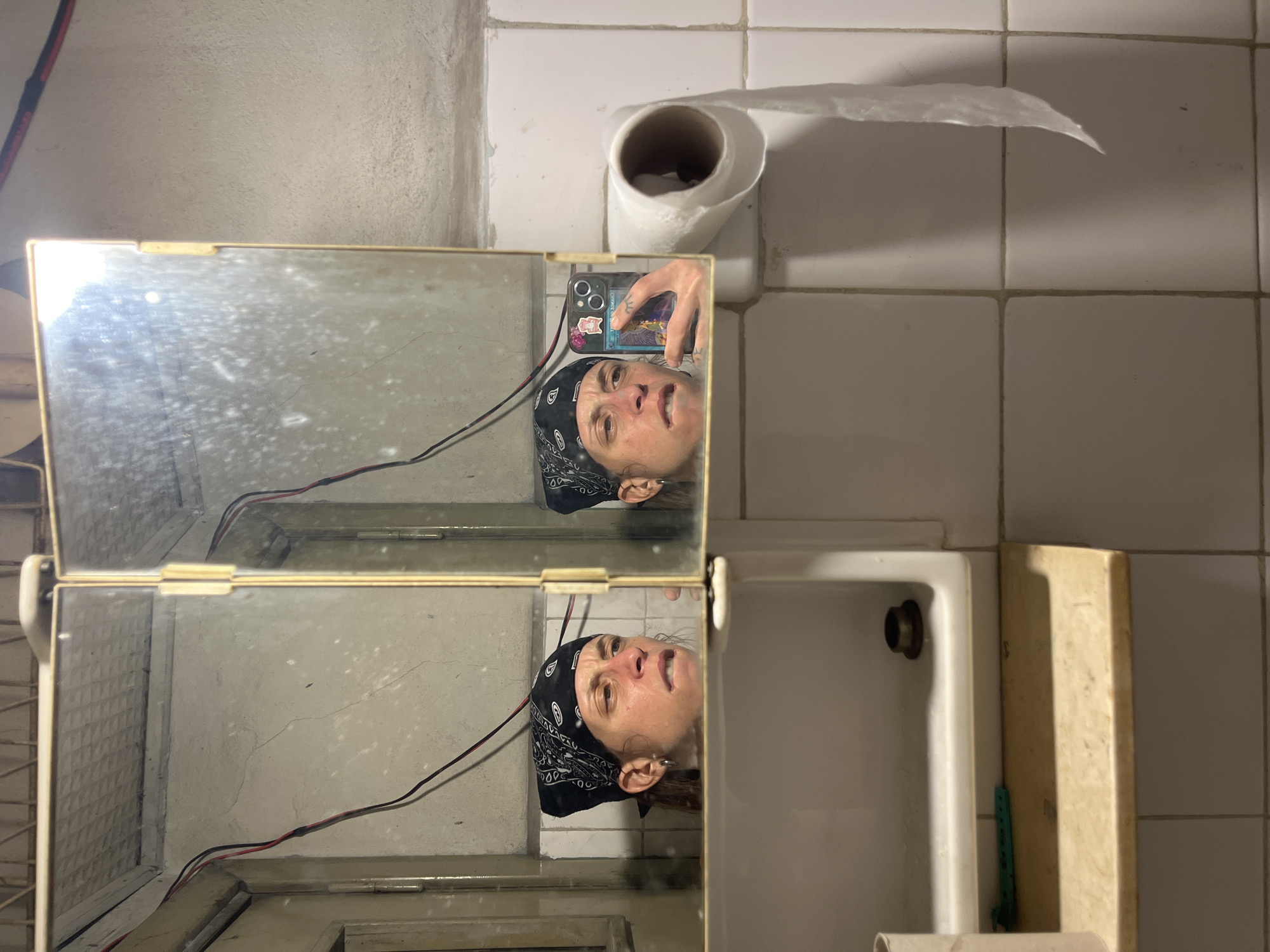 Person takes bathroom selfie in Argentine neighborhood