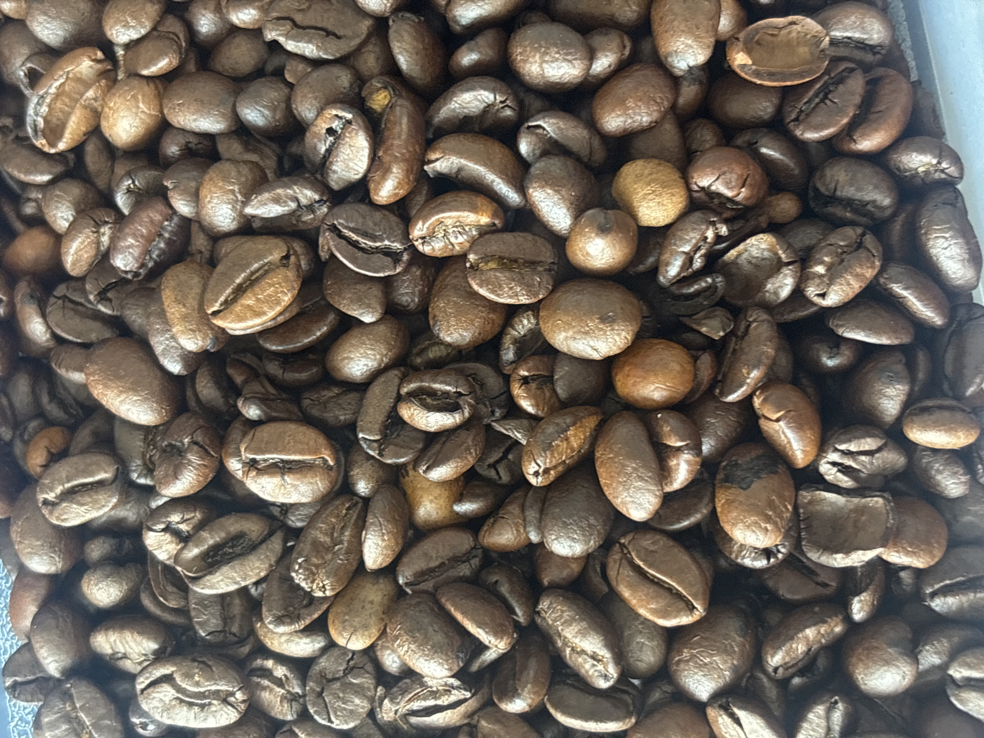 Coffee brewing and breakfast documented in Buenavista kitchen