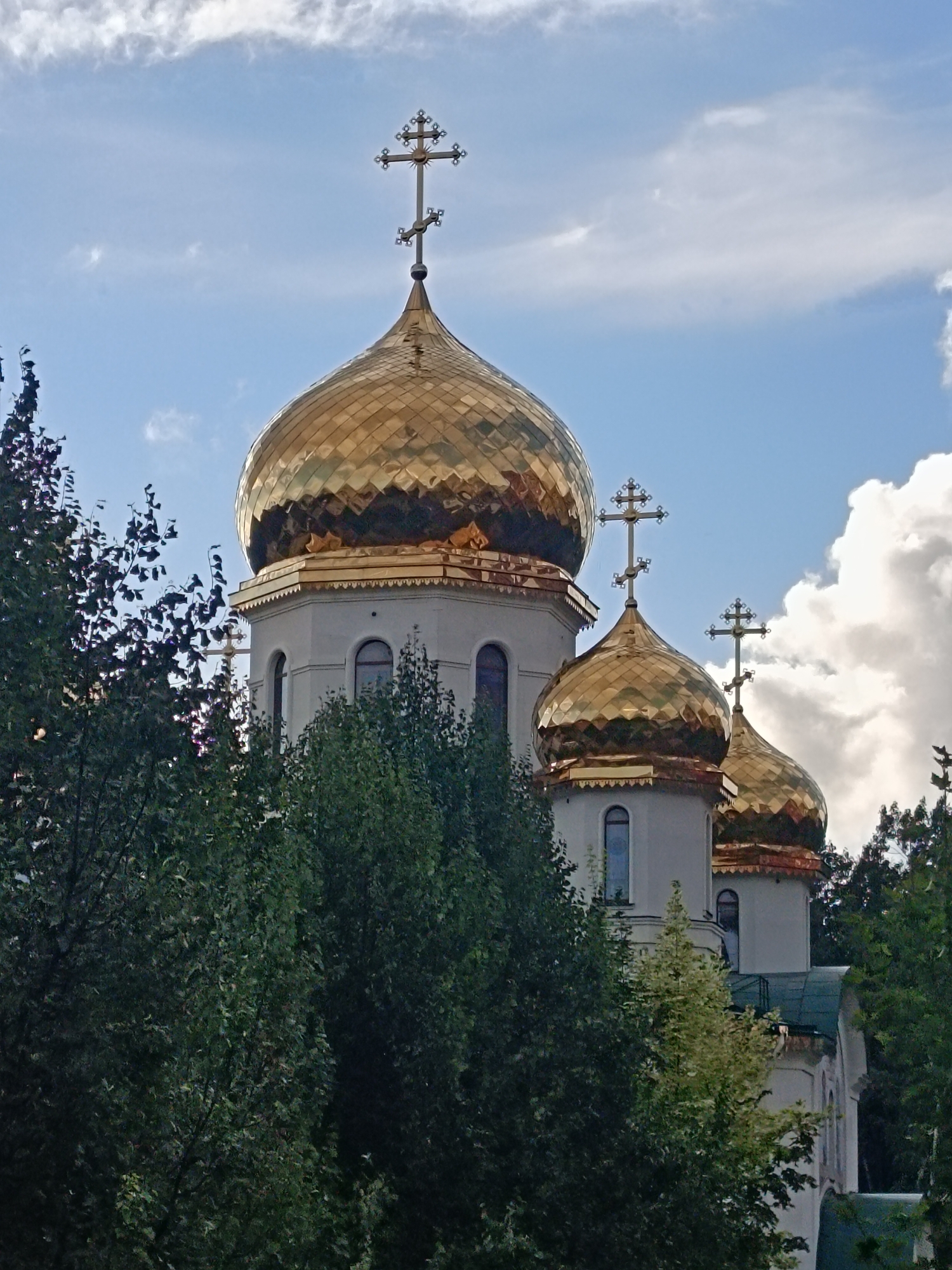 Golden domes of a Saint Petersburg Orthodox church, multiple angles
