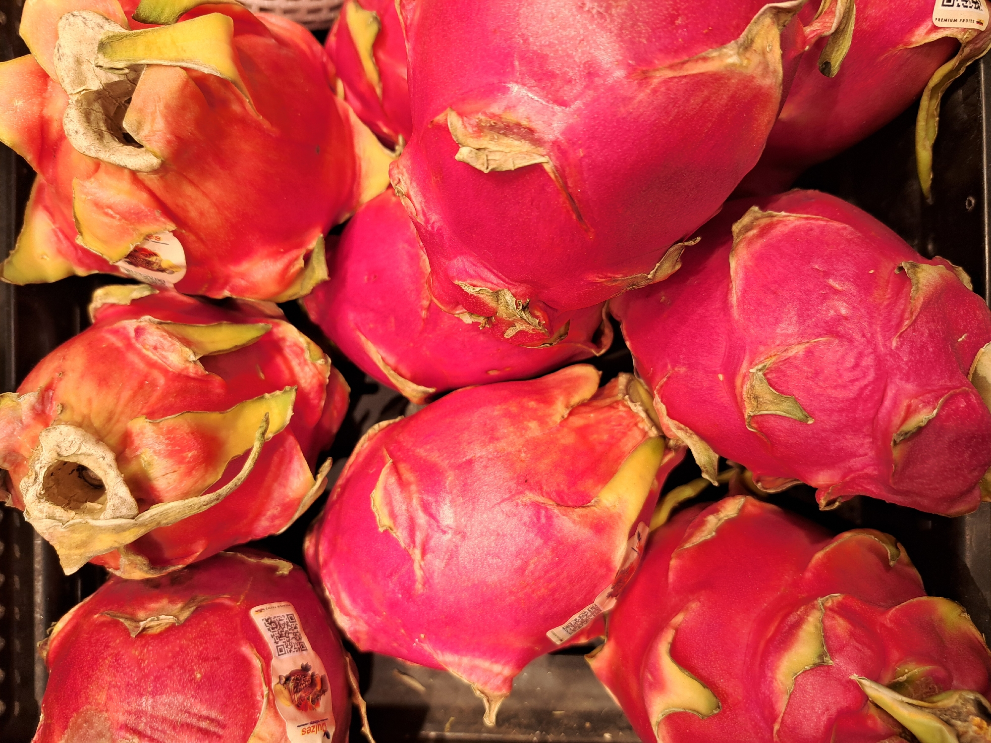 Morning market trip documented in Sofia, Bulgaria
