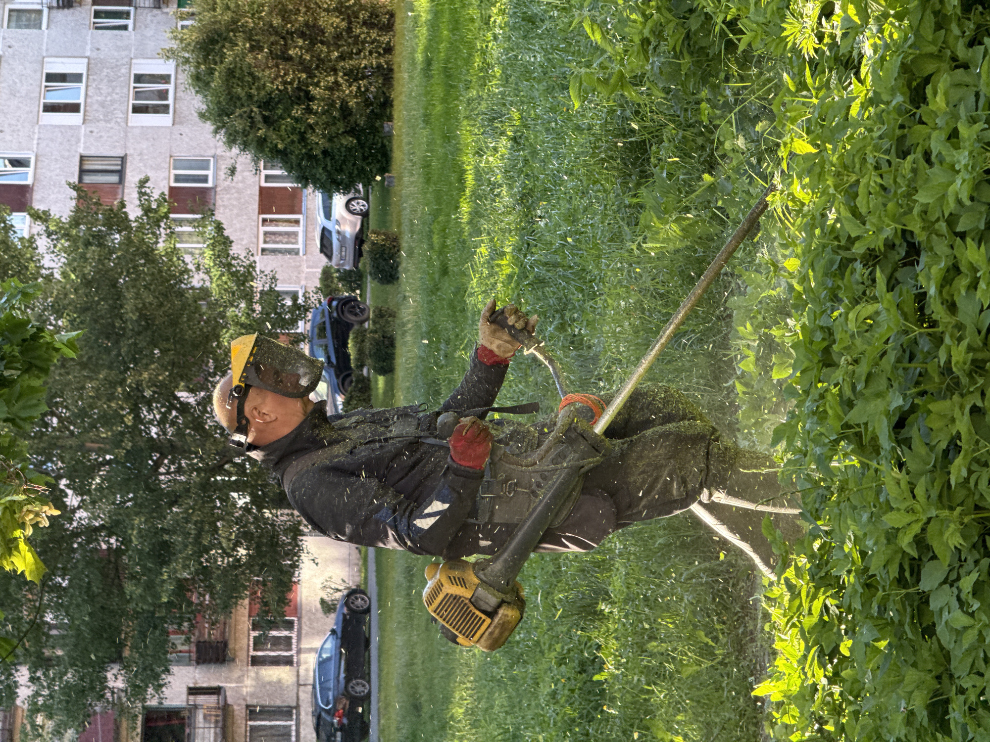 Resident performs lawn maintenance with safety gear in Riga