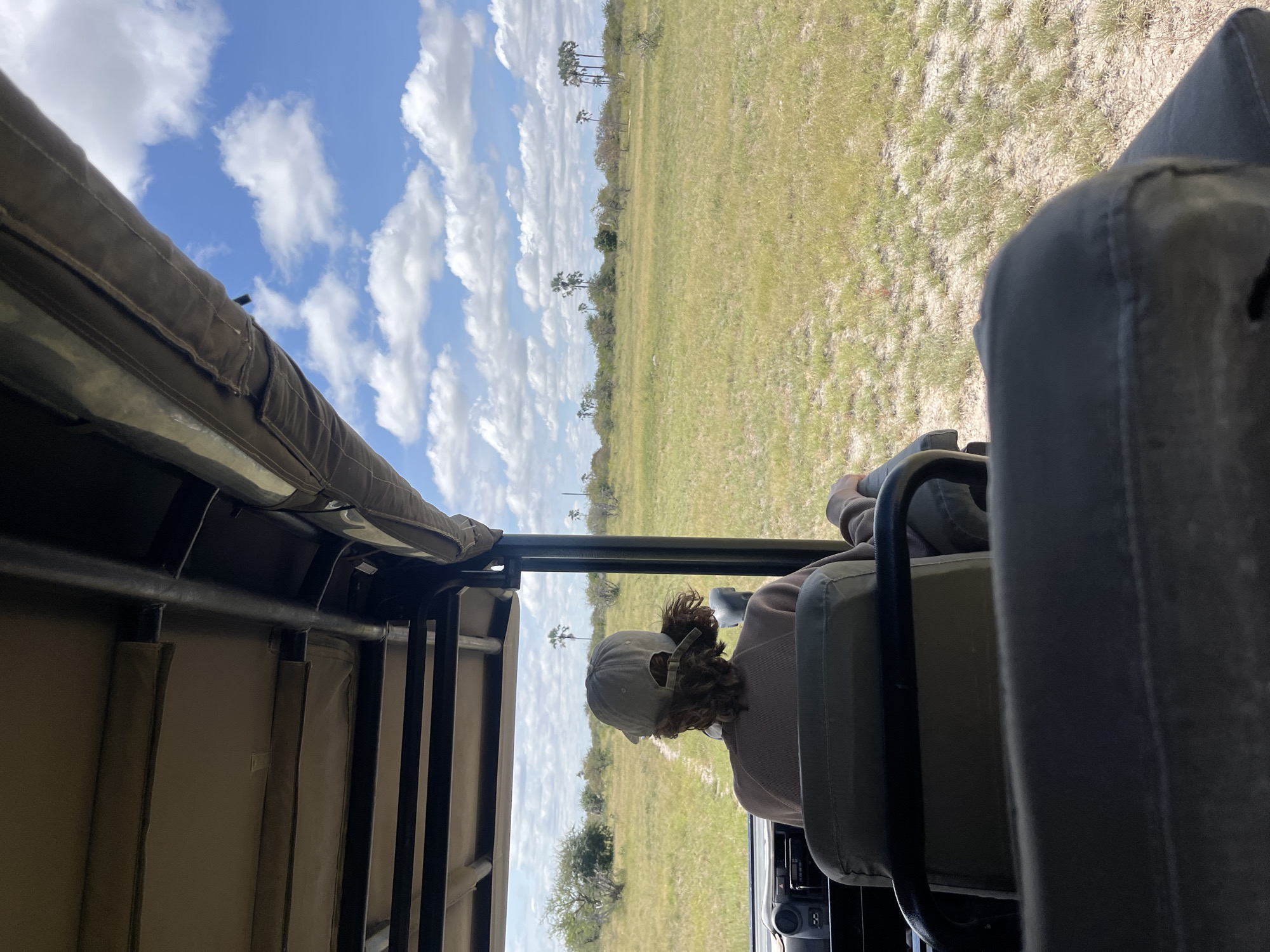 Safari tourists photographed in open vehicle near Gucta, Botswana
