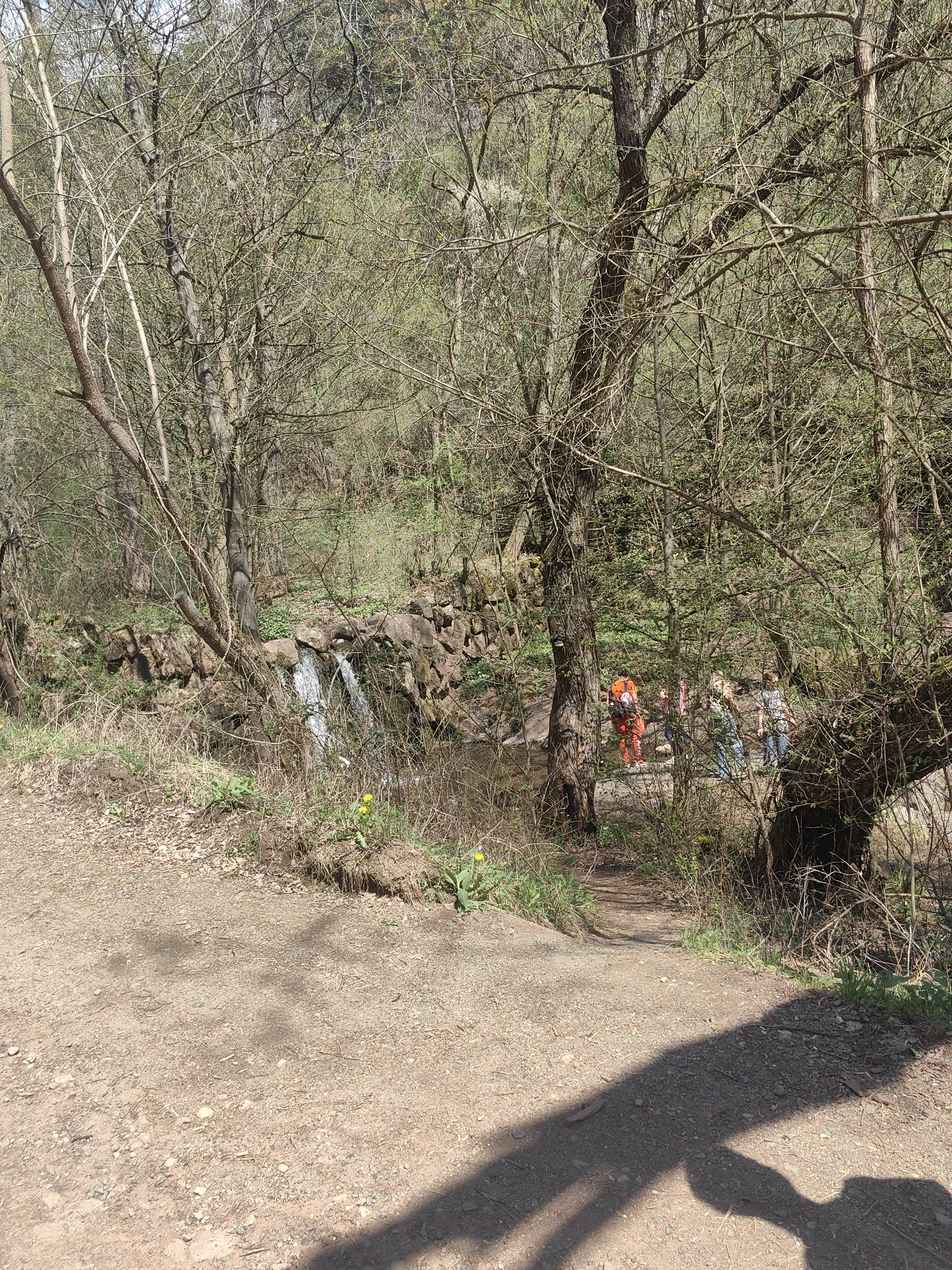 Woman walks wooded paths near Lokorsko, Bulgaria