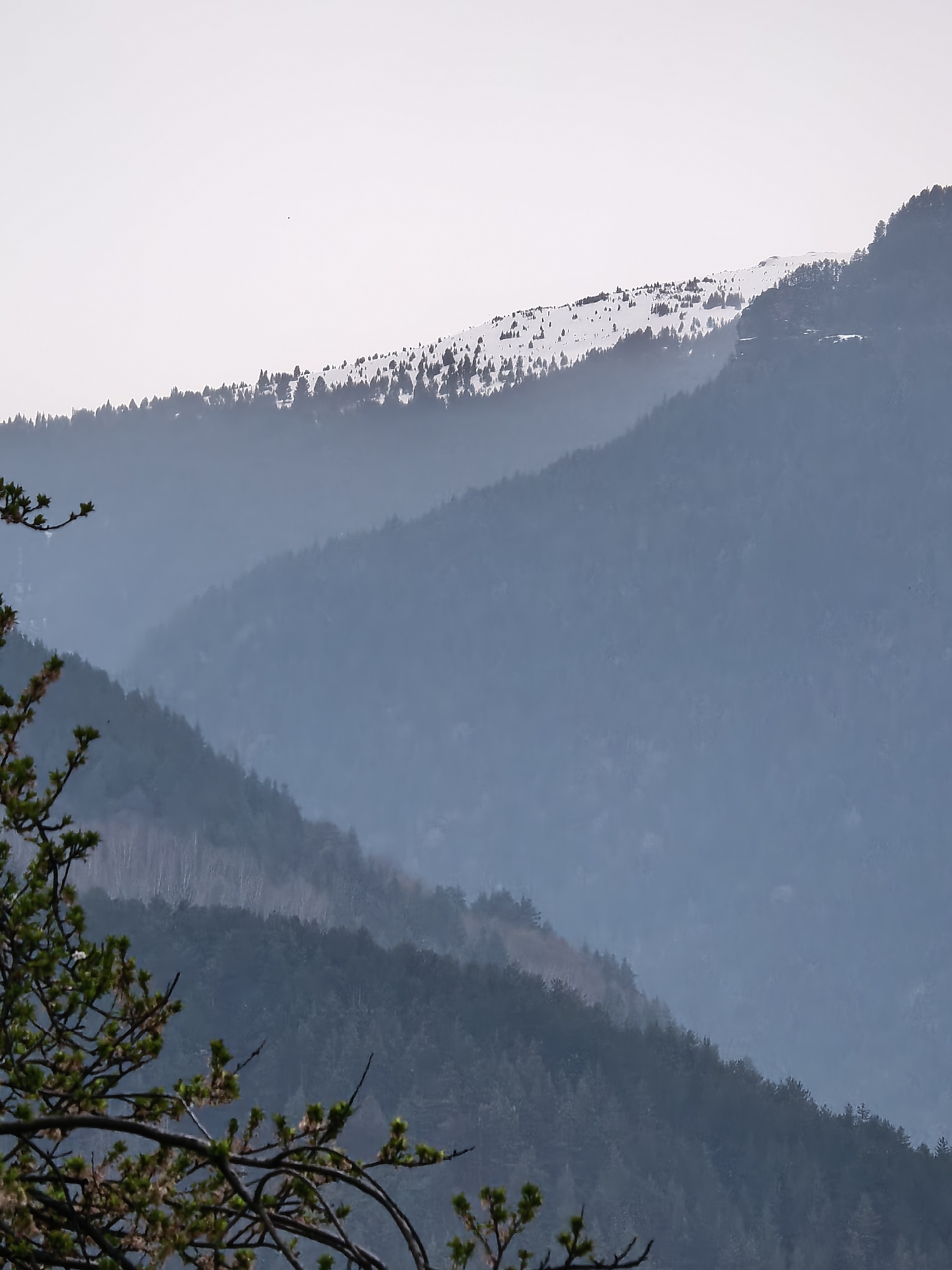 Witness documents nature scenes: mountains, bird, fly over 49 minutes
