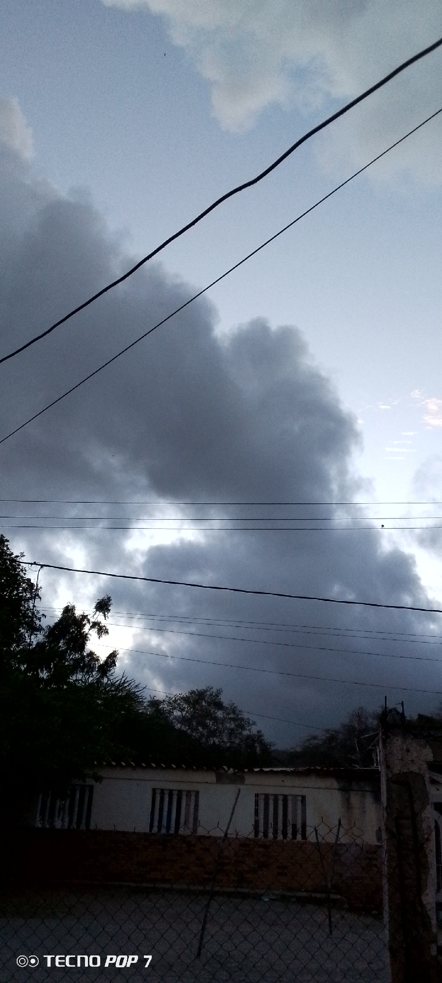 Stormy skies and street dogs in a Venezuelan neighborhood