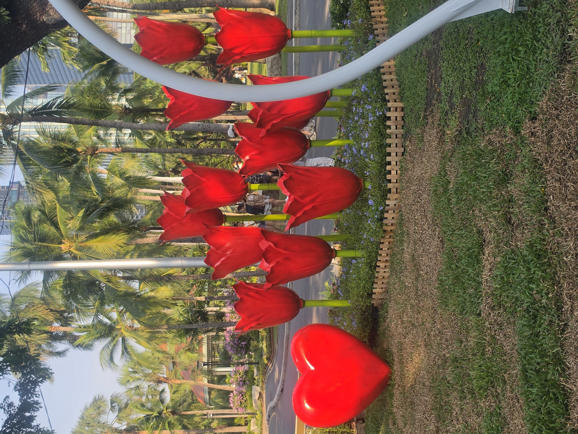 Morning park scenes documented across Bangkok urban green space