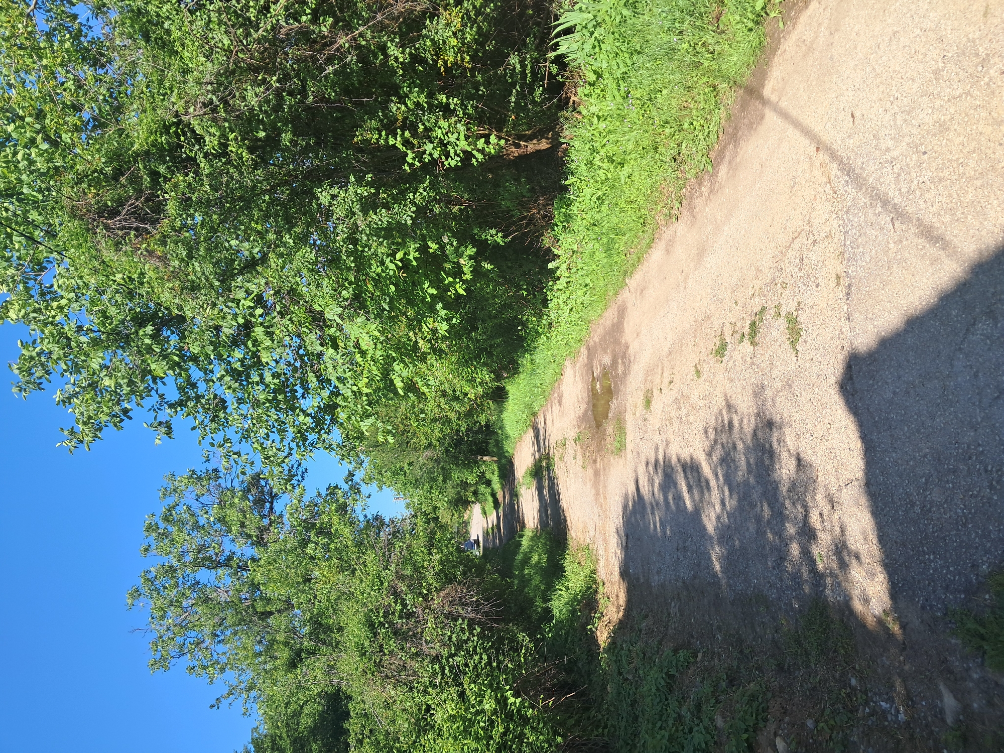 Rural documentation walk captured in Bulgarian village under clear skies