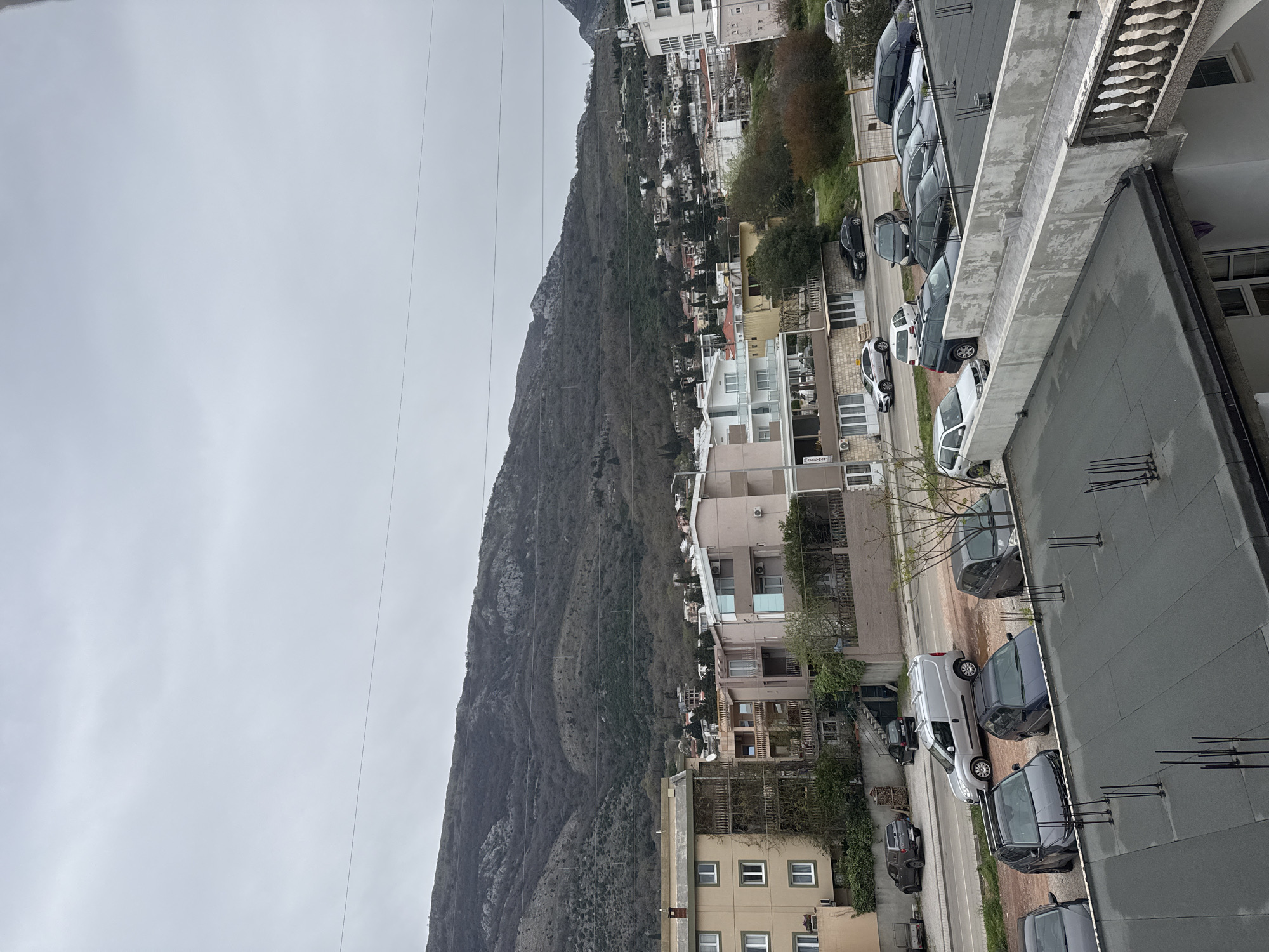 Morning laptop session with dog in Montenegro mountains
