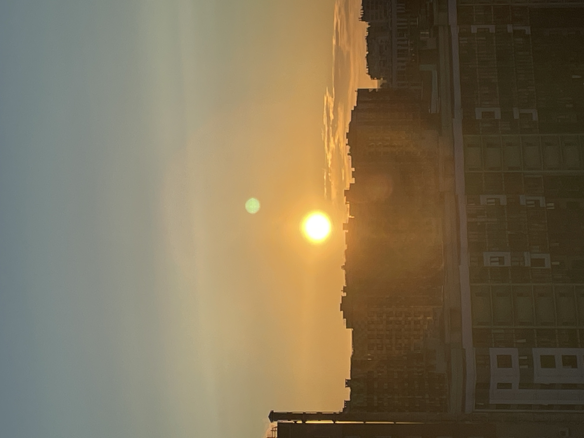 Summer evening in Saint Petersburg — sunset, raspberries, balcony plants