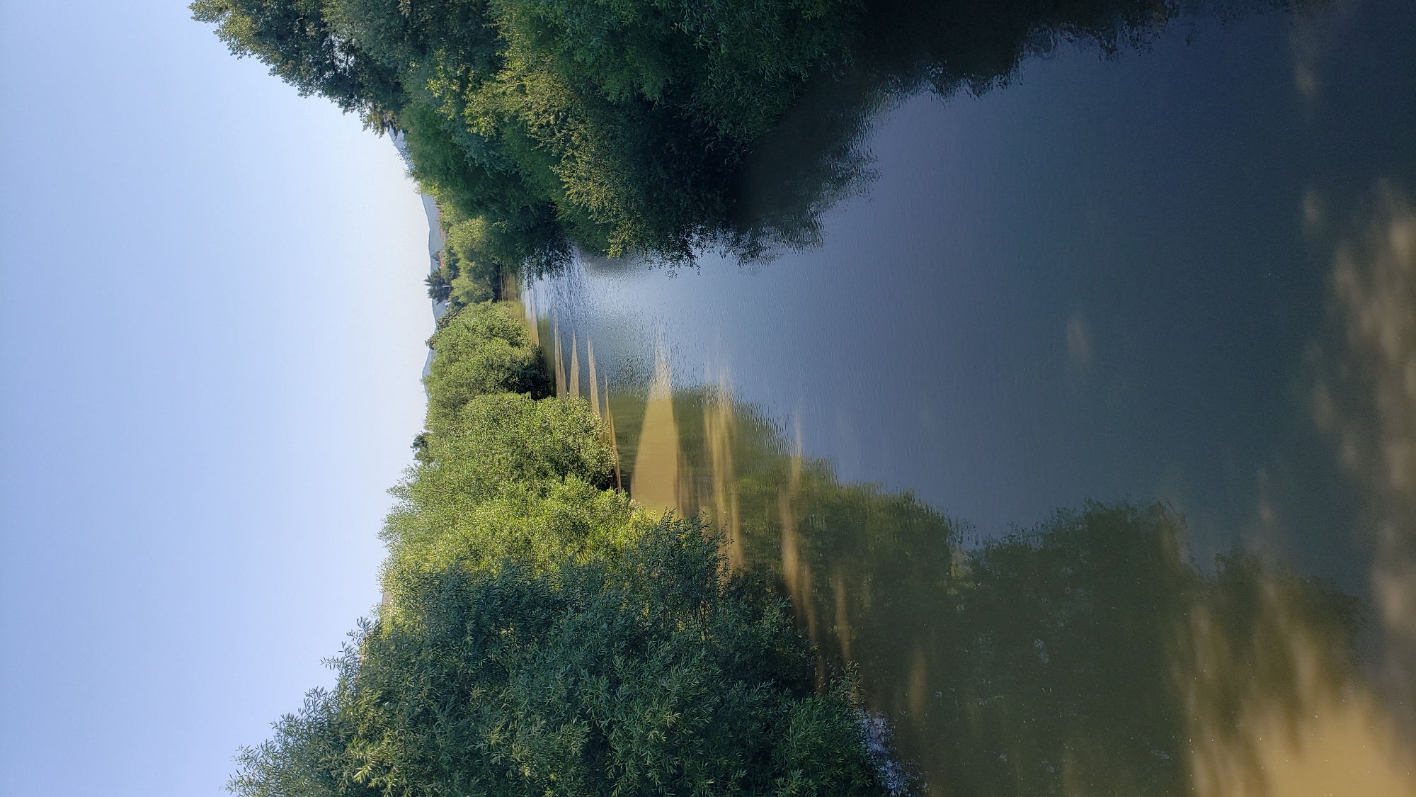Quiet summer morning in a Prešov park, people and routines