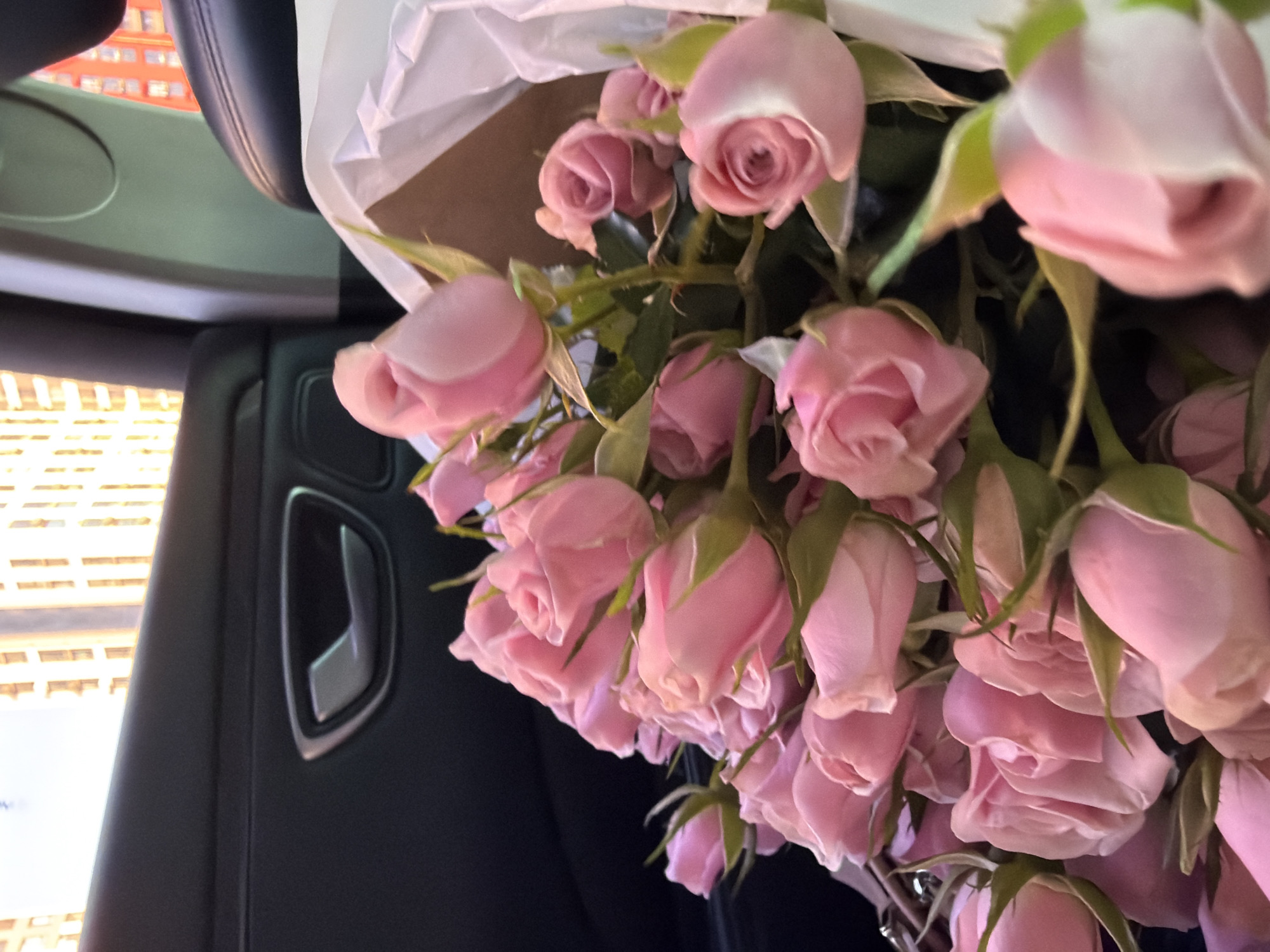 Pink roses and a car ride through Kyiv