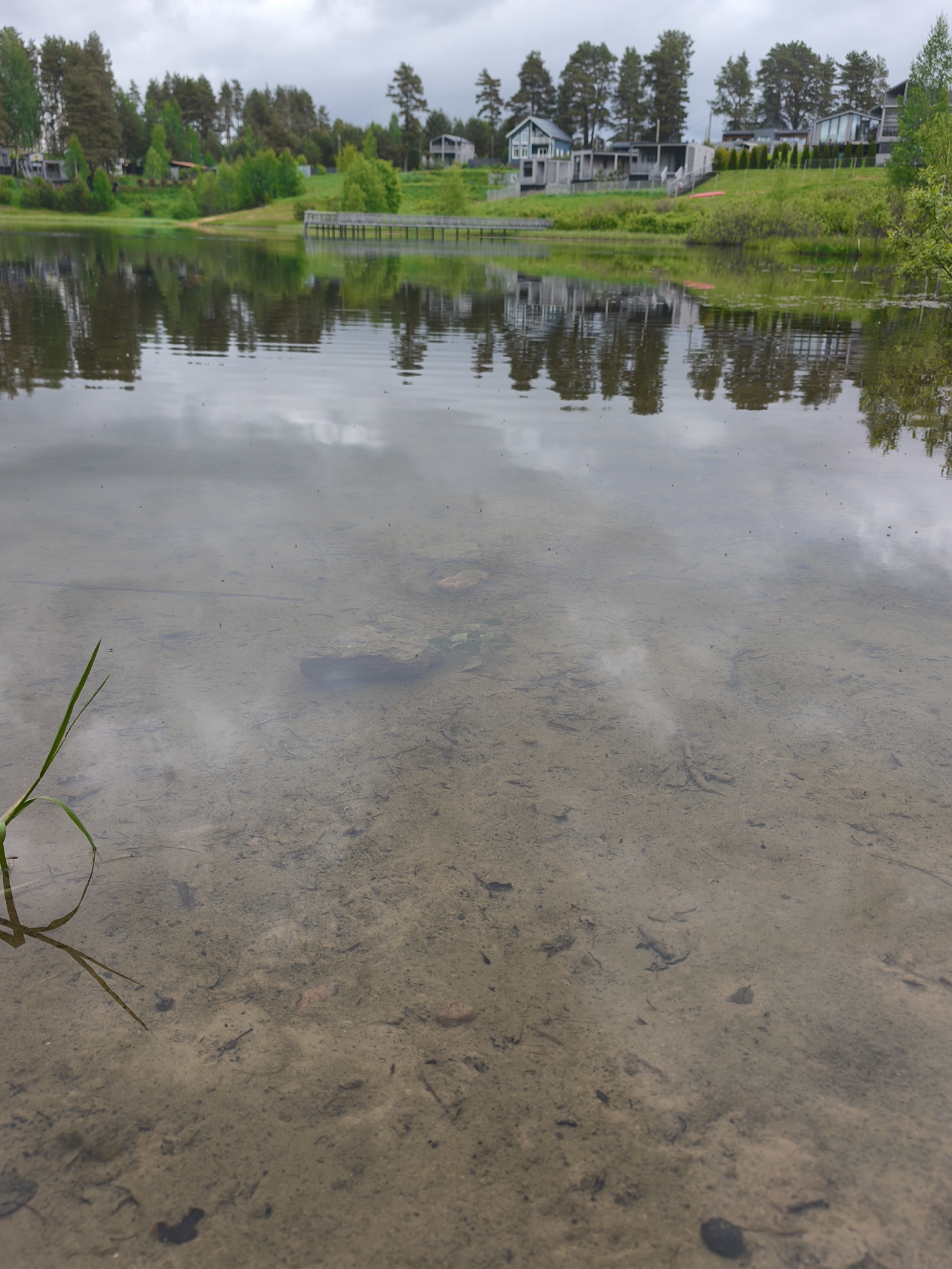 Spring lakeside observations documented in Mars, Russia over eight minutes