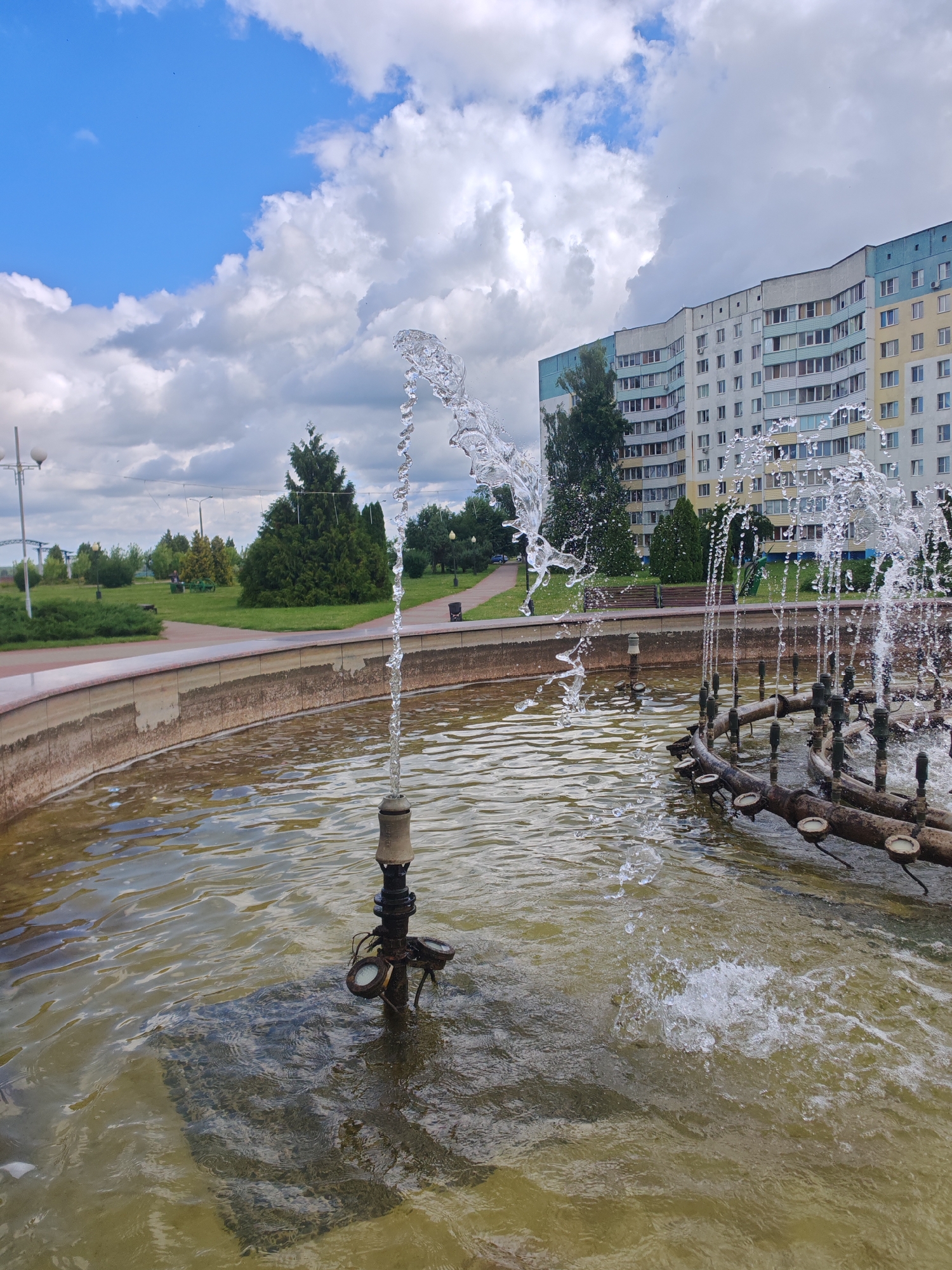 Summer morning at a Rechytsa park: fountains, webs, and dandelions