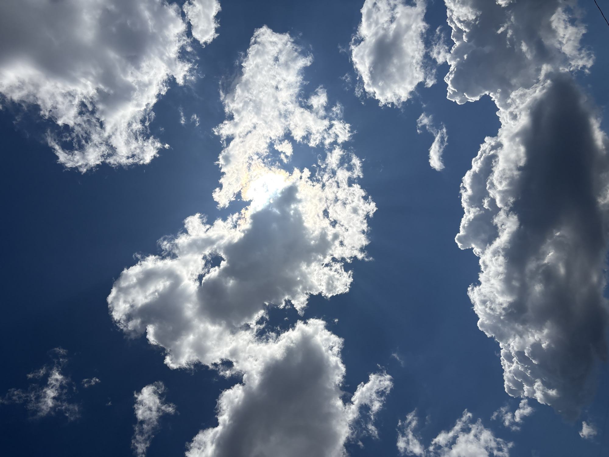 City morning: carousel, clouds, high-rises, and green leaves
