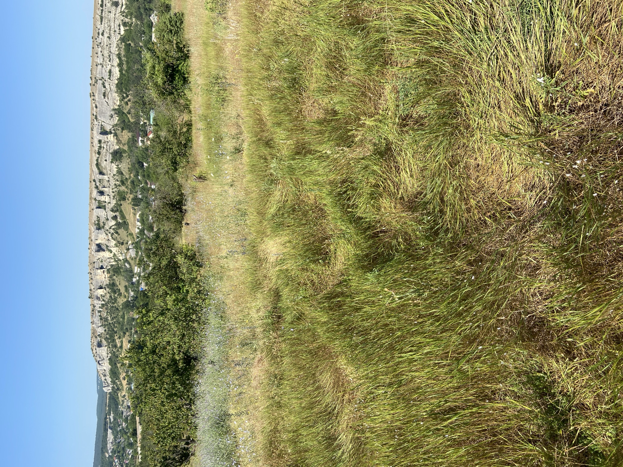 Solar-paneled hillside home and wildflower landscape in rural Crimea