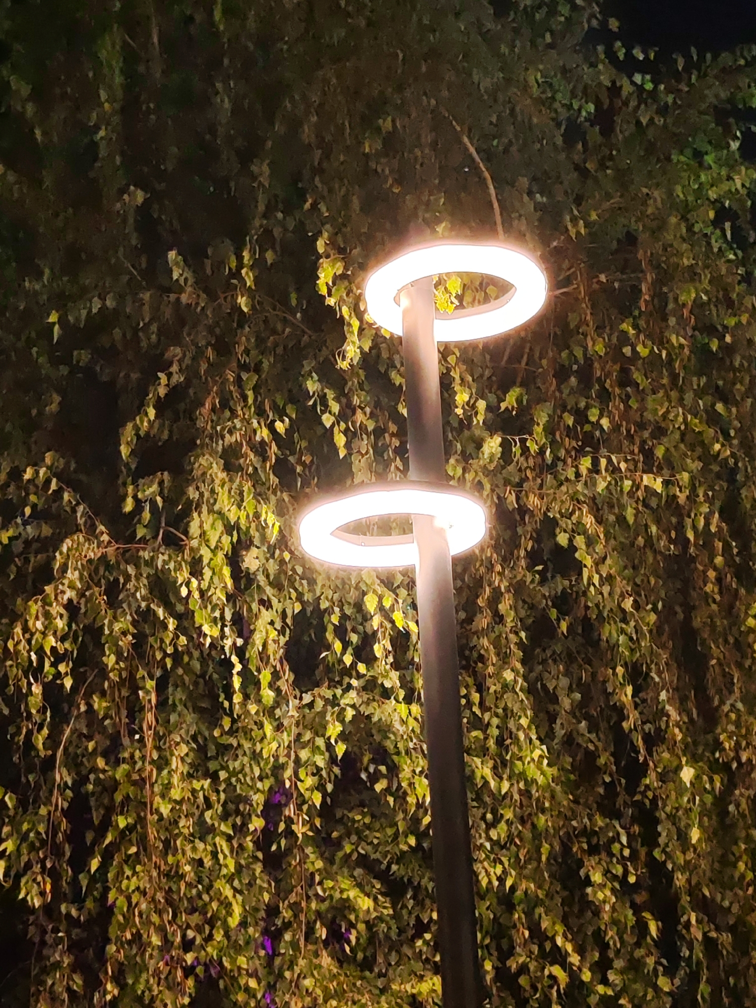 Tashkent City Park lit up on a summer night