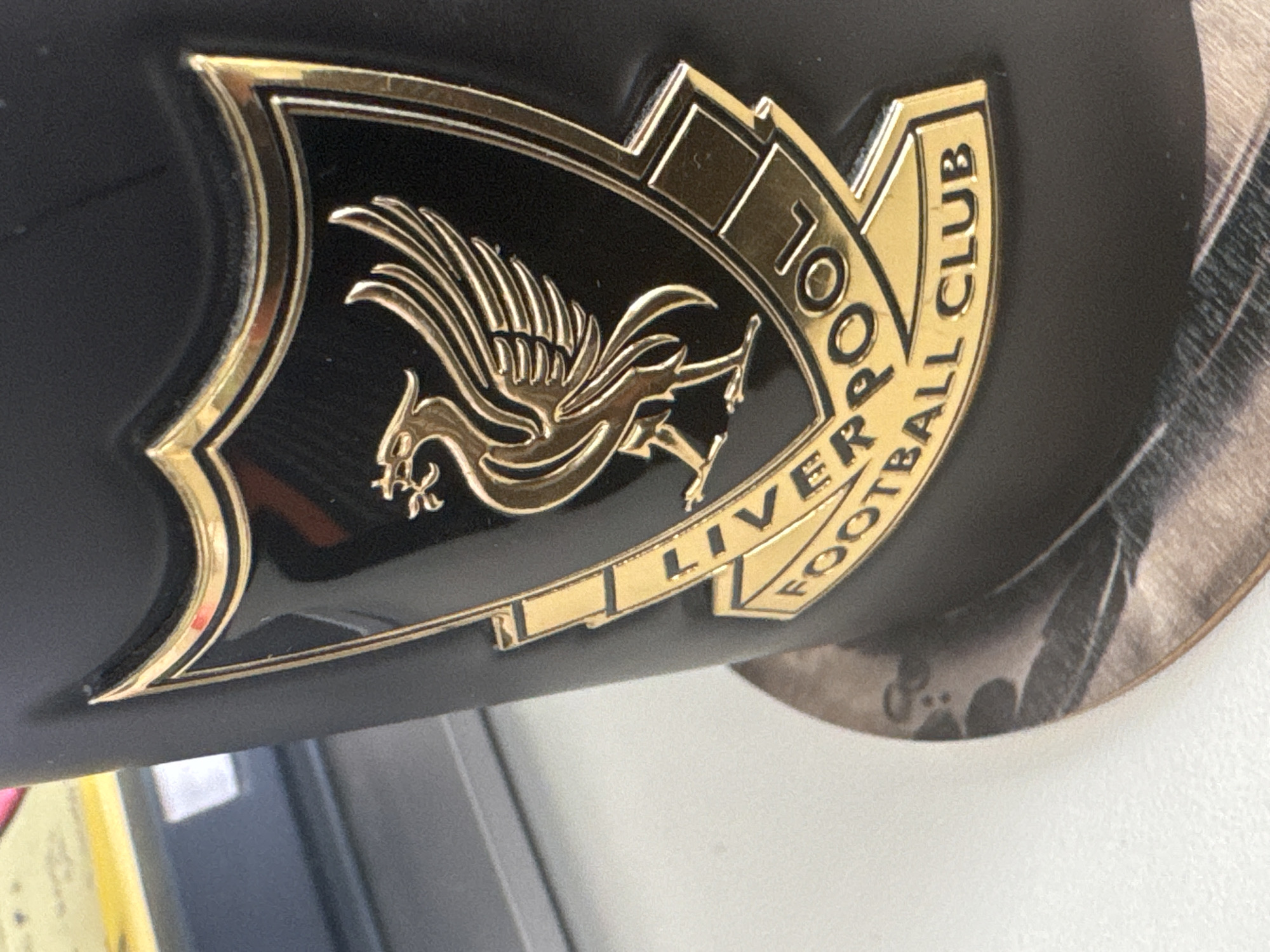 Liverpool FC emblem spotted on black object in Sofia