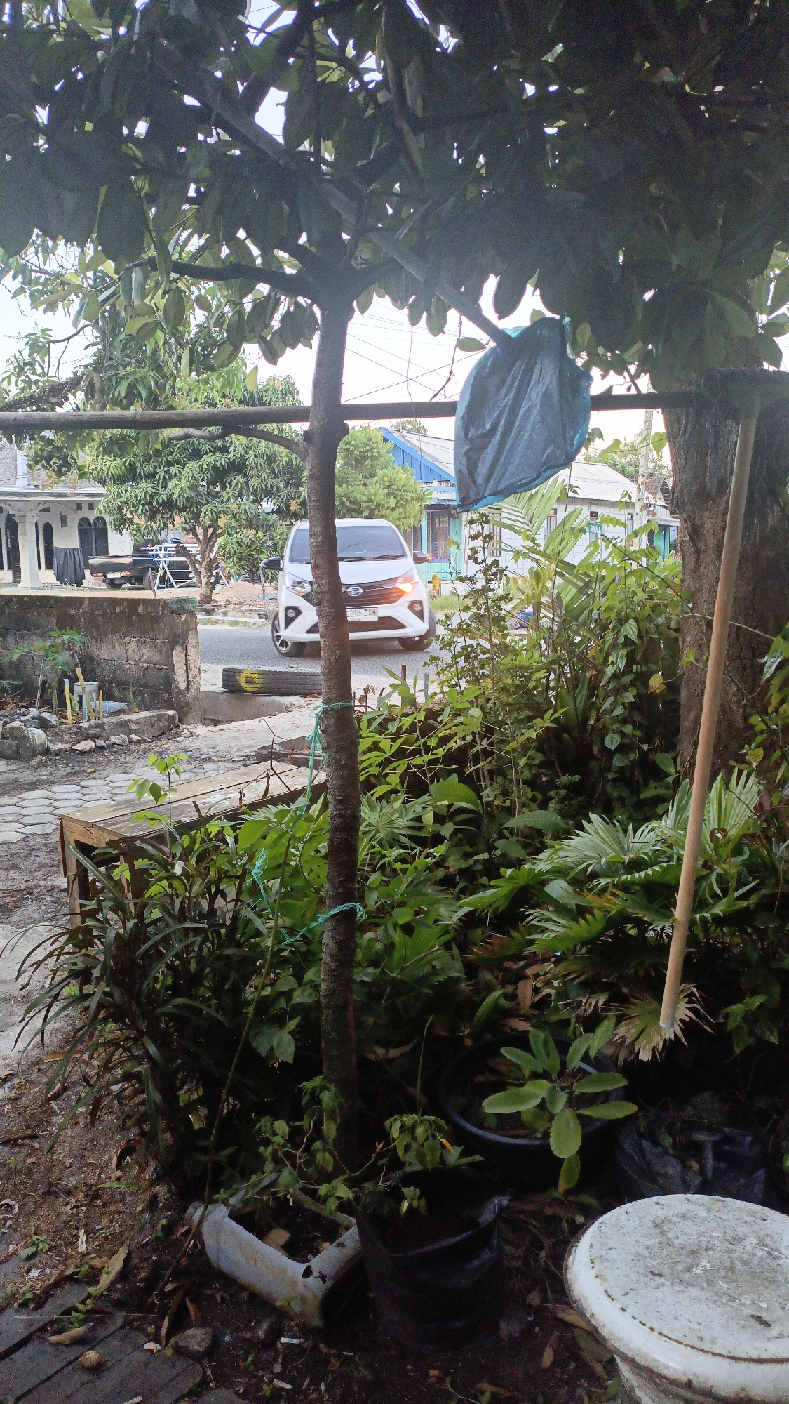 Everyday street life in a quiet Gusunge neighborhood