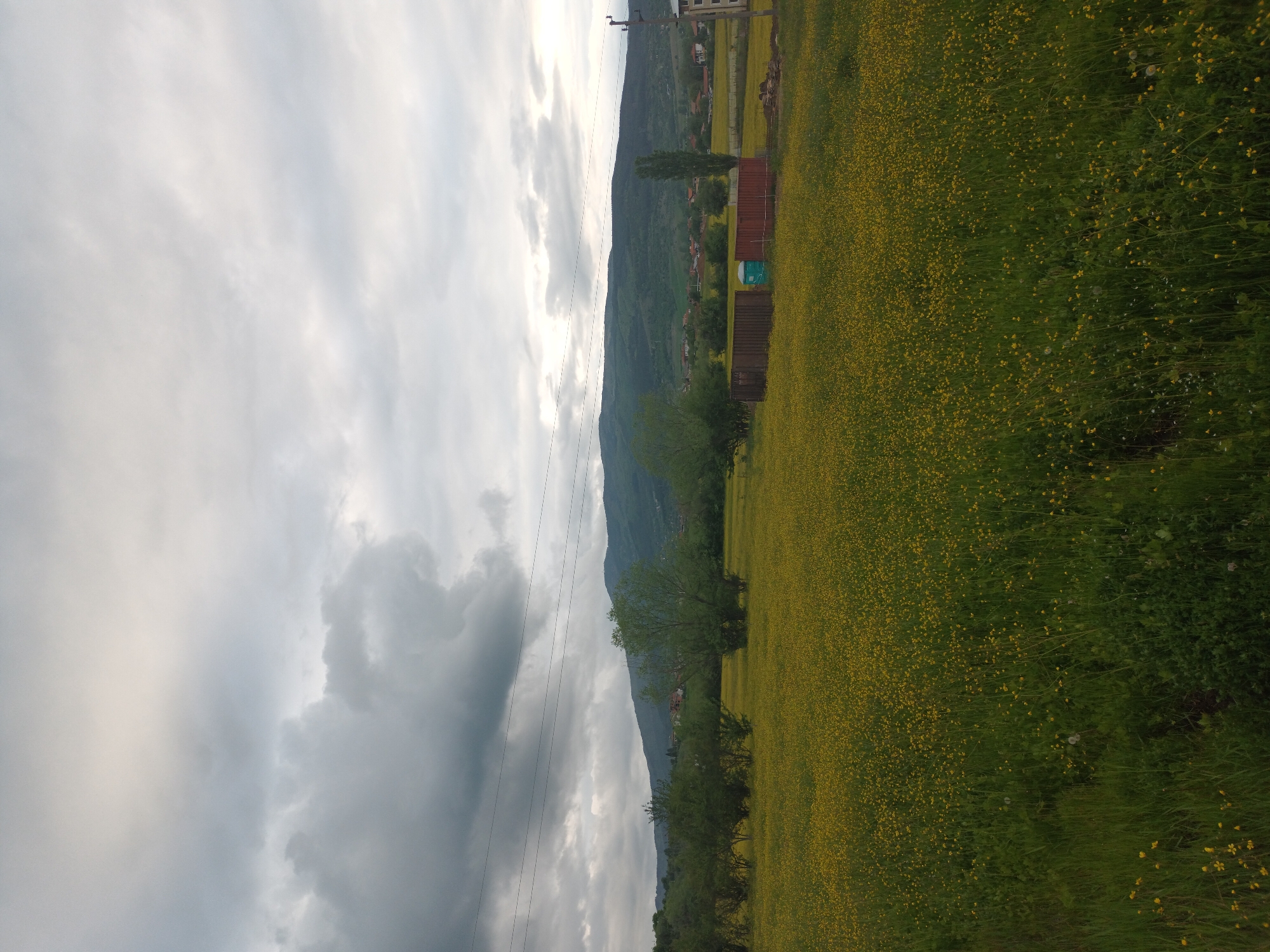 Spring wildflowers bloom near mountain town under cloudy skies