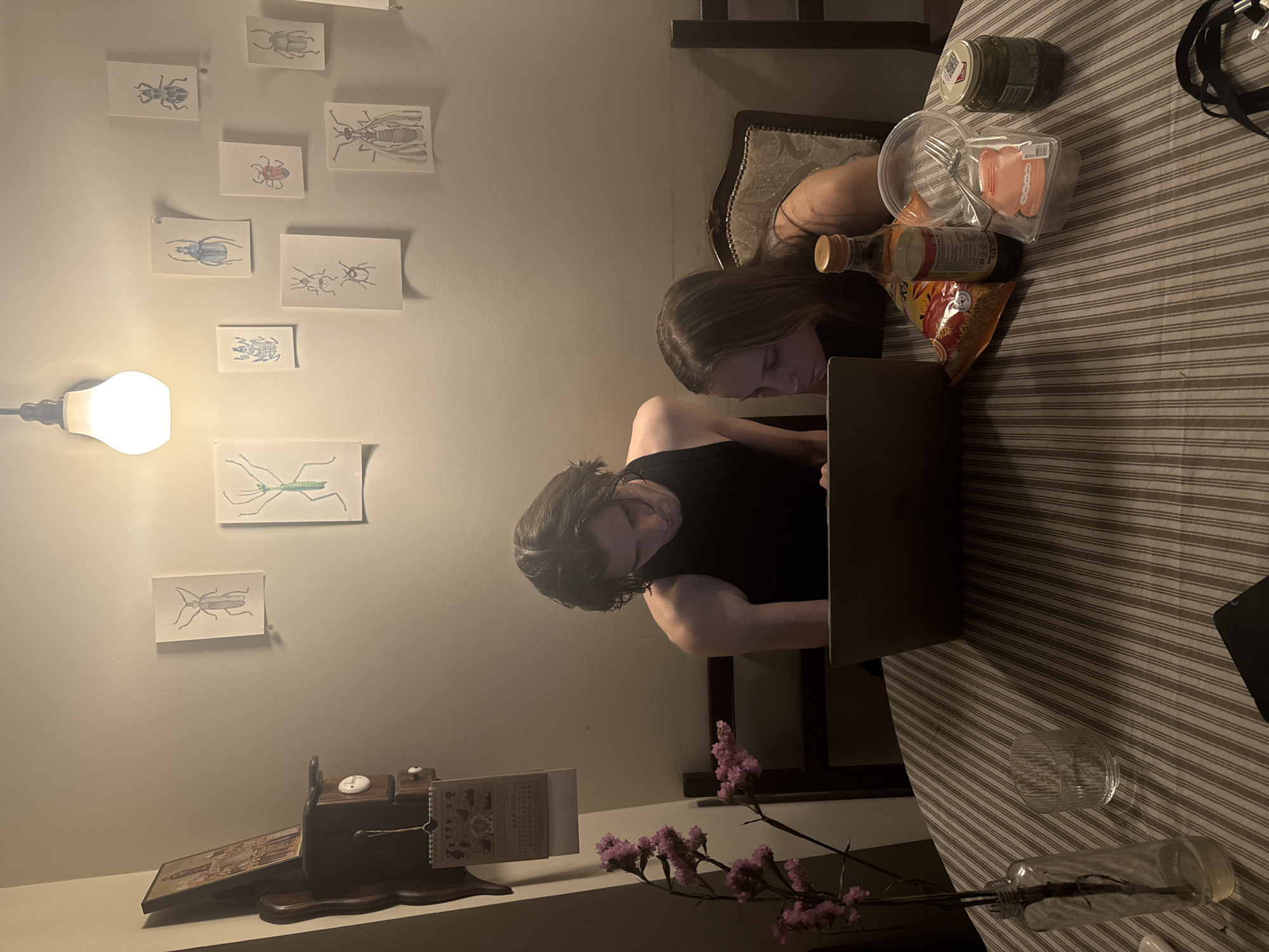 Moscow residents observed in casual evening laptop activities