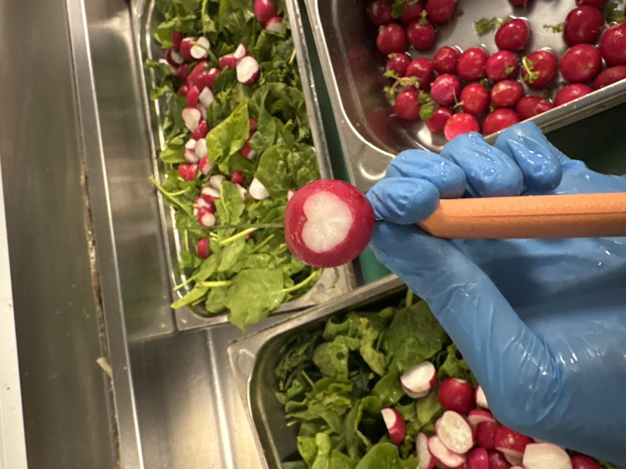 Food preparation with fresh vegetables documented in Italy