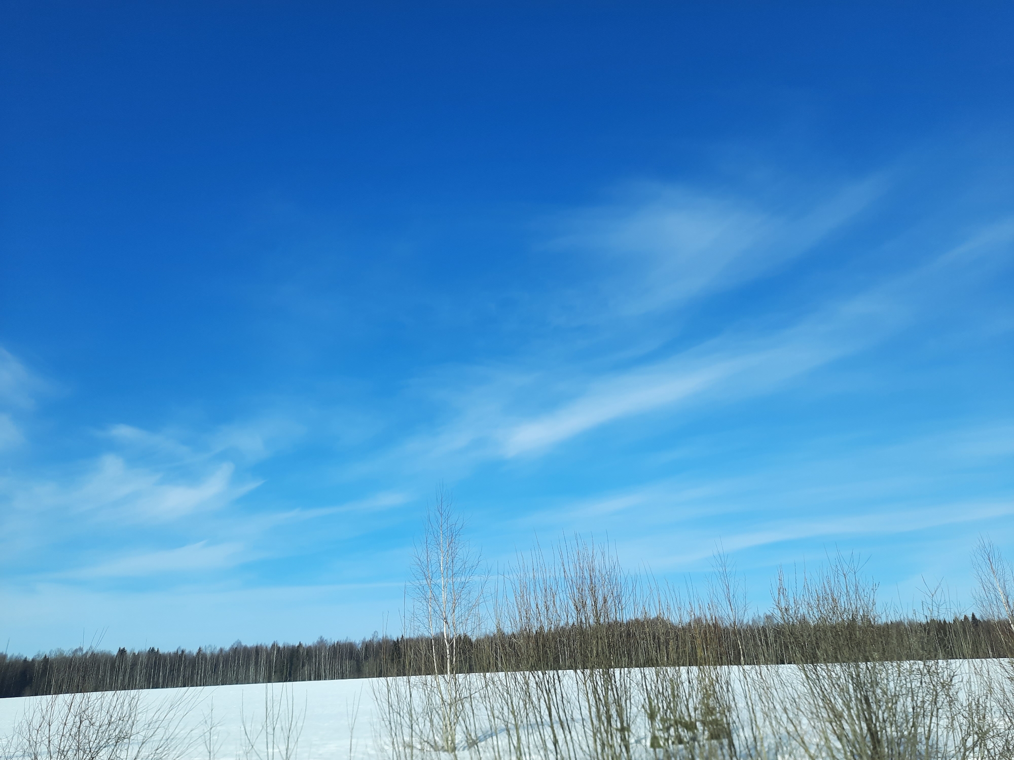Spring thaw documented across rural Russian communities