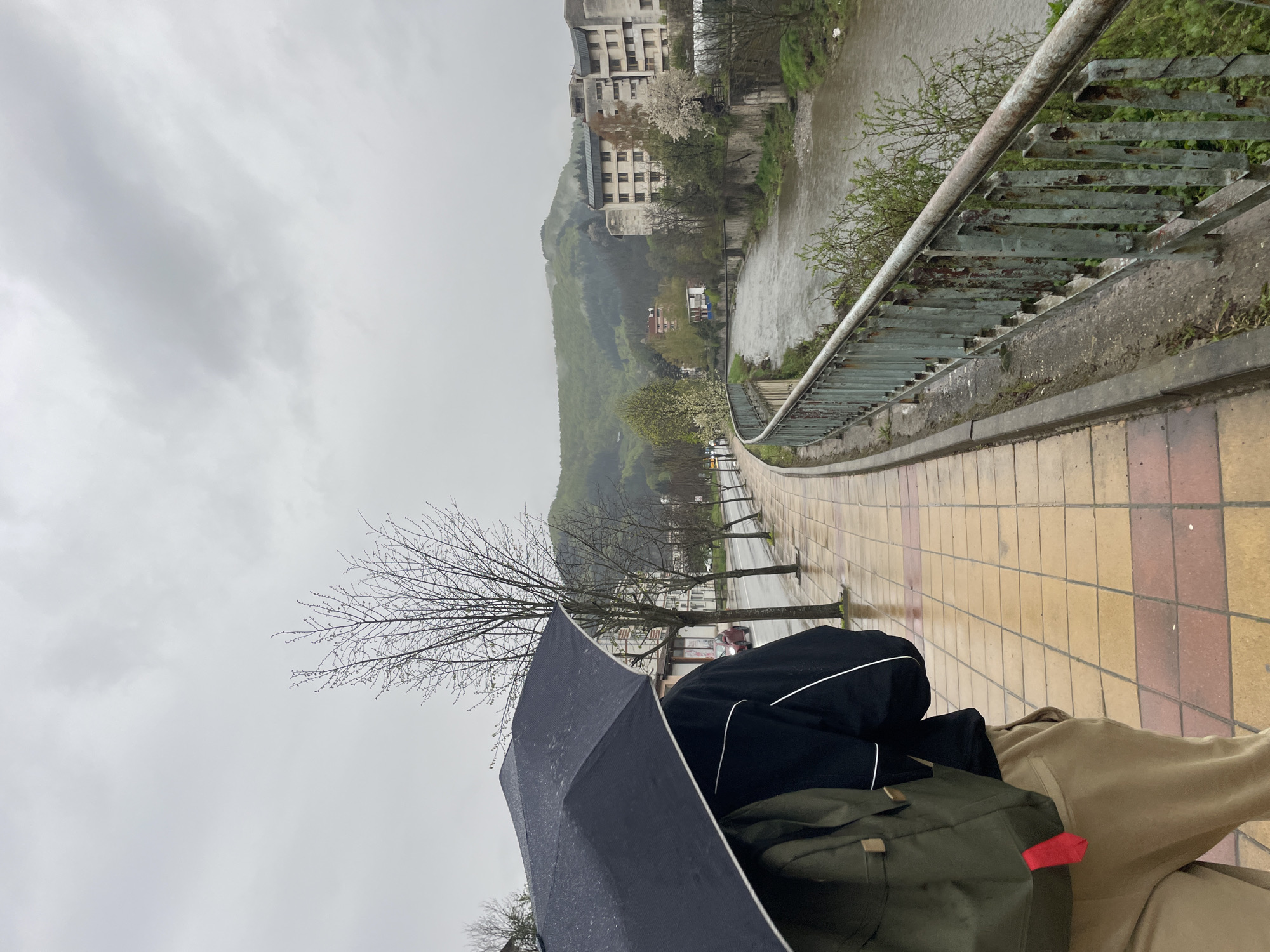 Rainy morning walk captured in Zlatograd, Bulgaria
