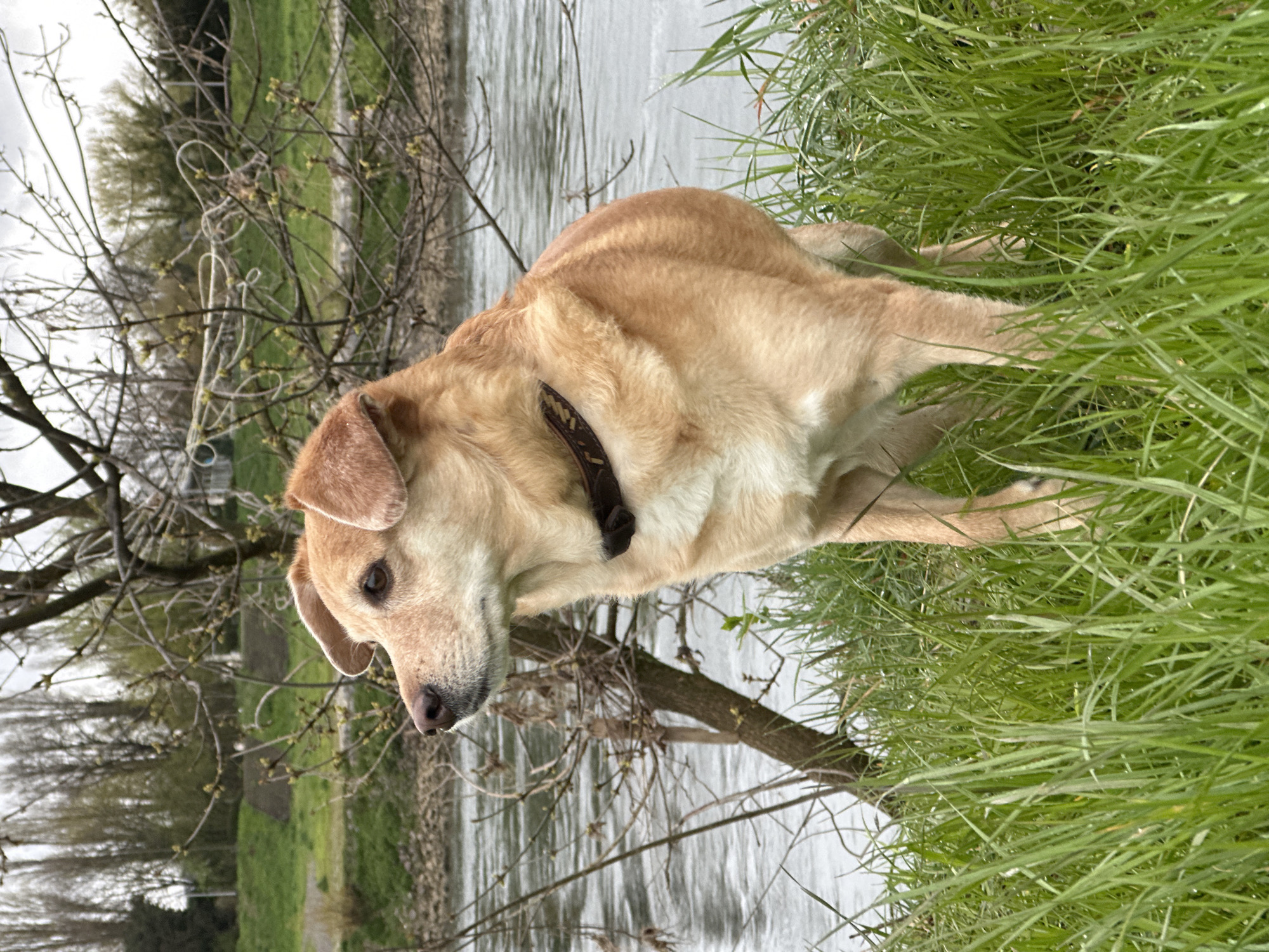 Woman documents morning routine and riverside dog walk in Zagreb