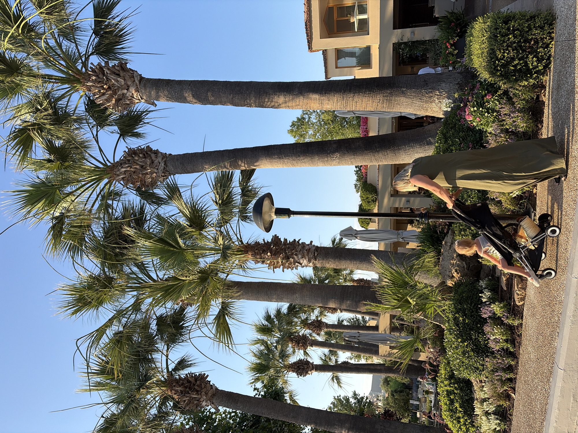 Afternoon around a resort complex on the Kassandra peninsula