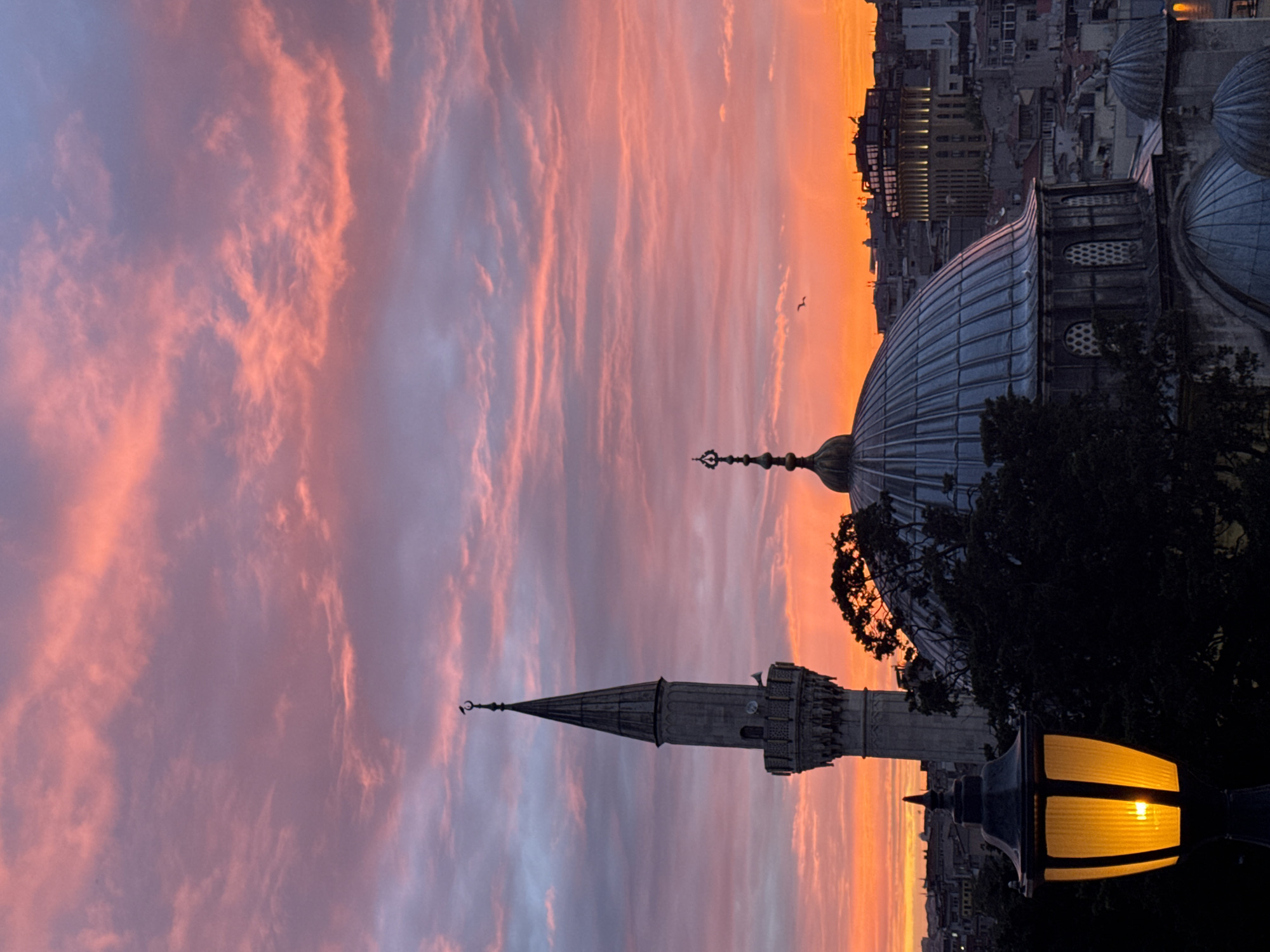 Sunset to nighttime exploration of Istanbul's dining districts